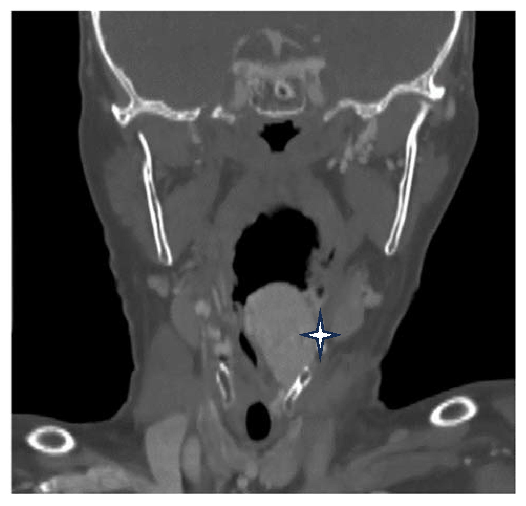 Medicina 60 00198 g002