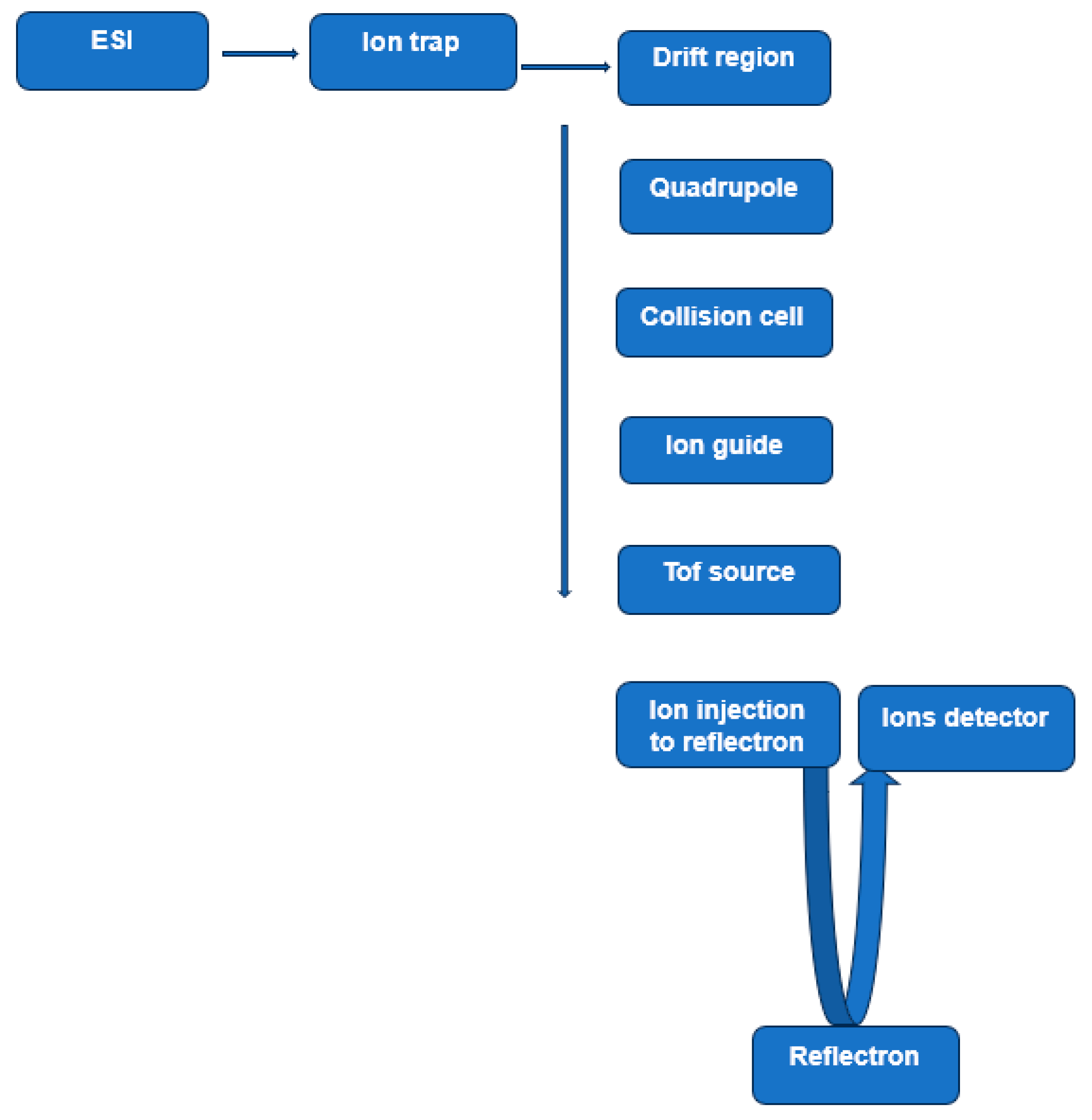 Medicina 60 00200 g002 Medicina 60 00200 g002