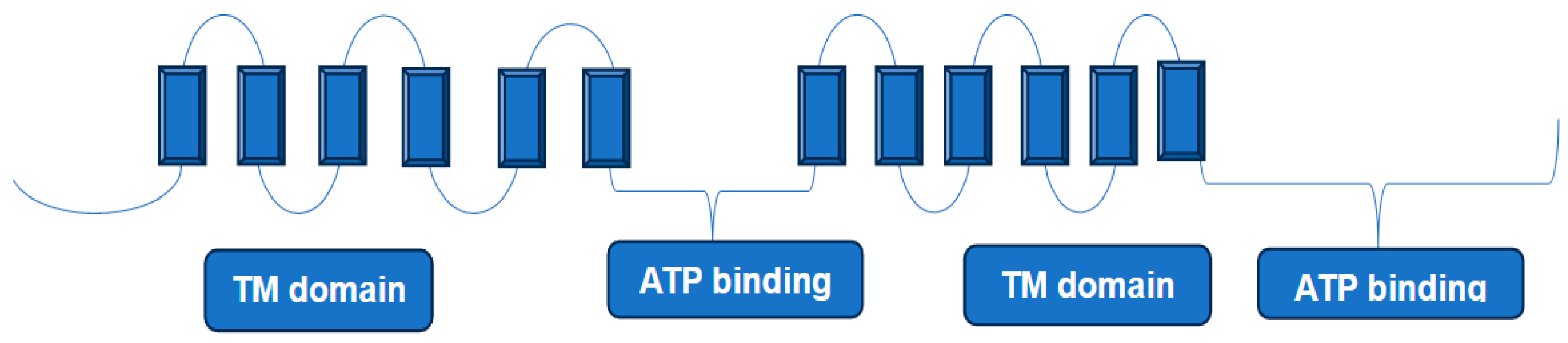 Medicina 60 00200 g003 Medicina 60 00200 g003