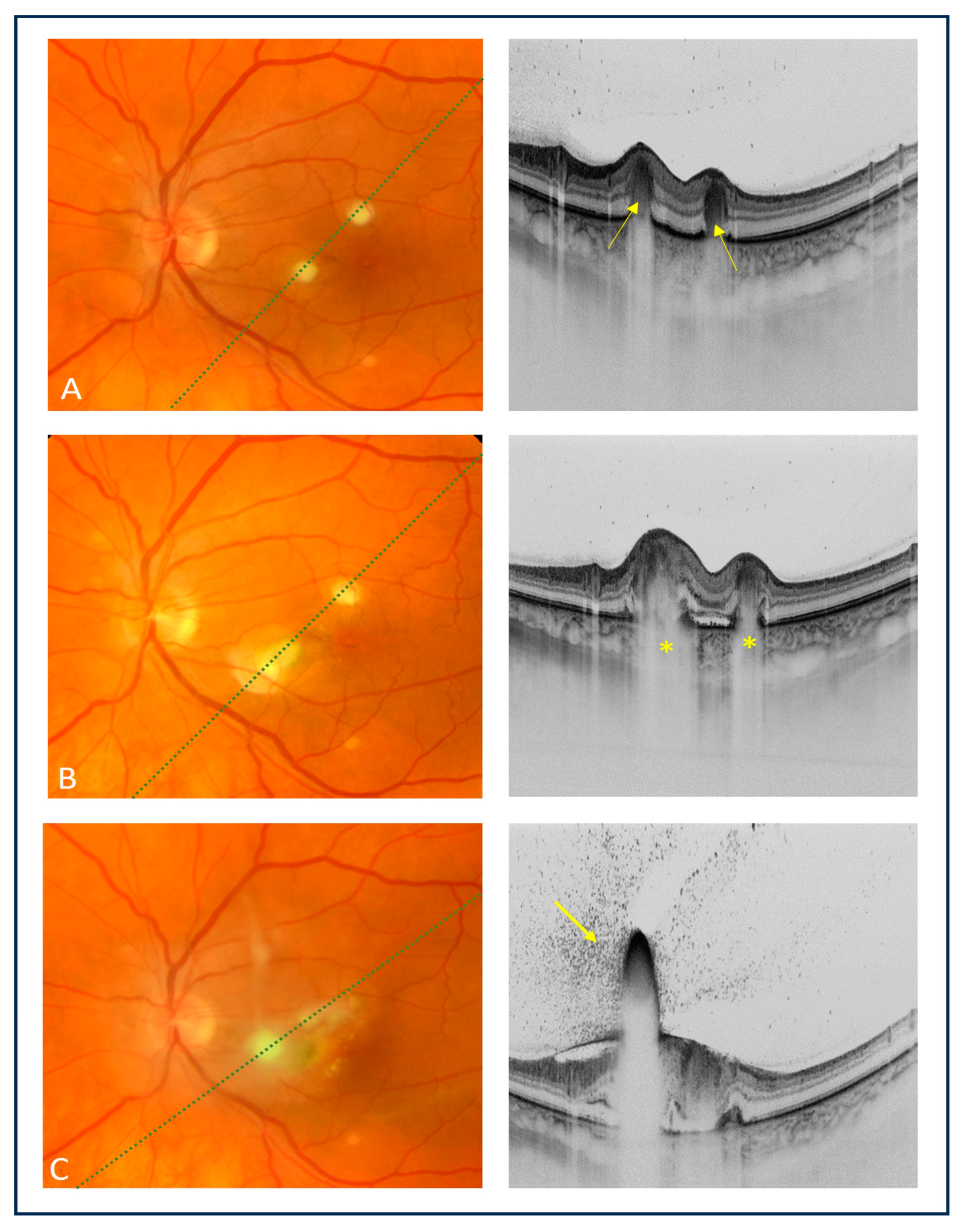 Medicina 60 00207 g001
