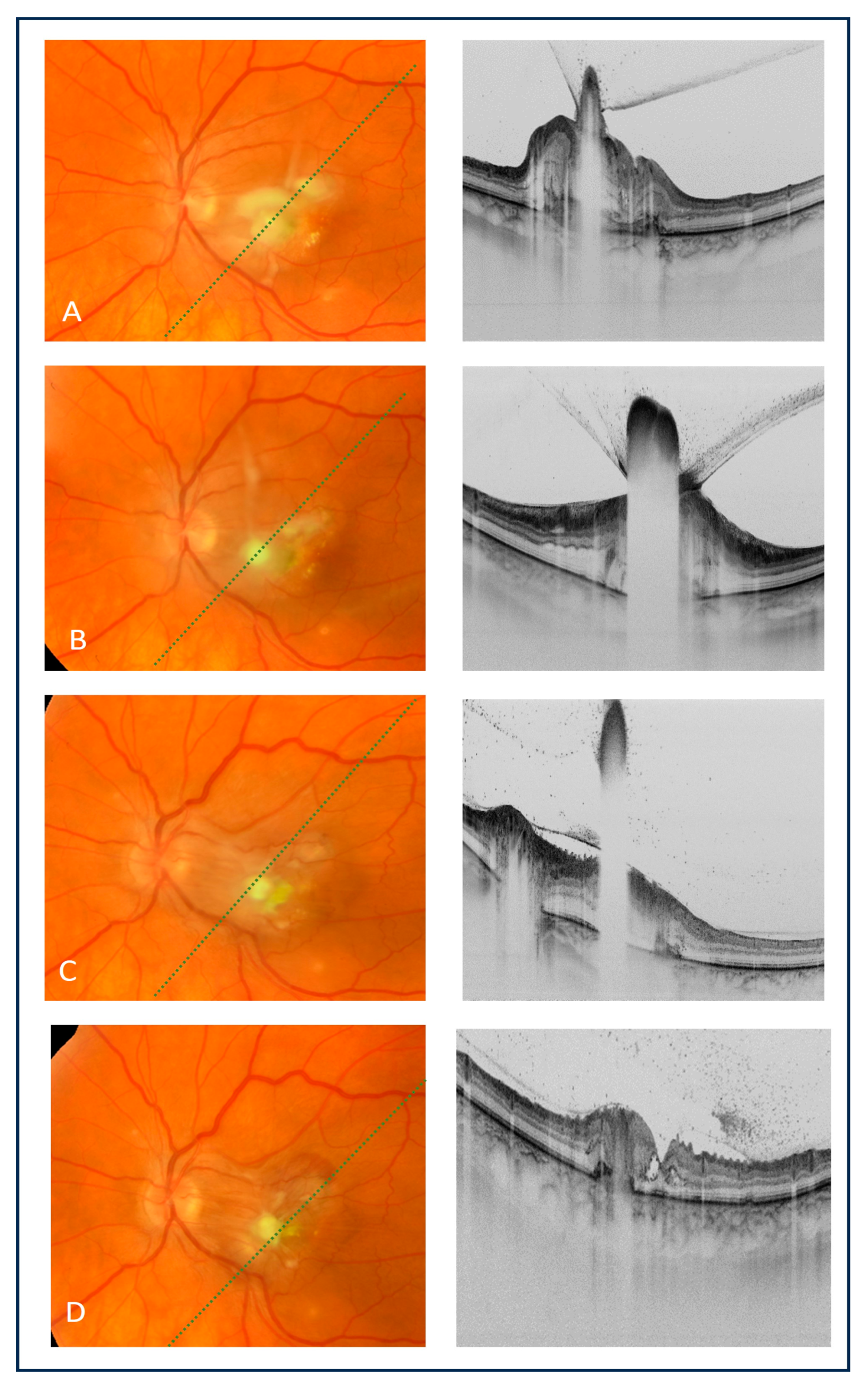 Medicina 60 00207 g002