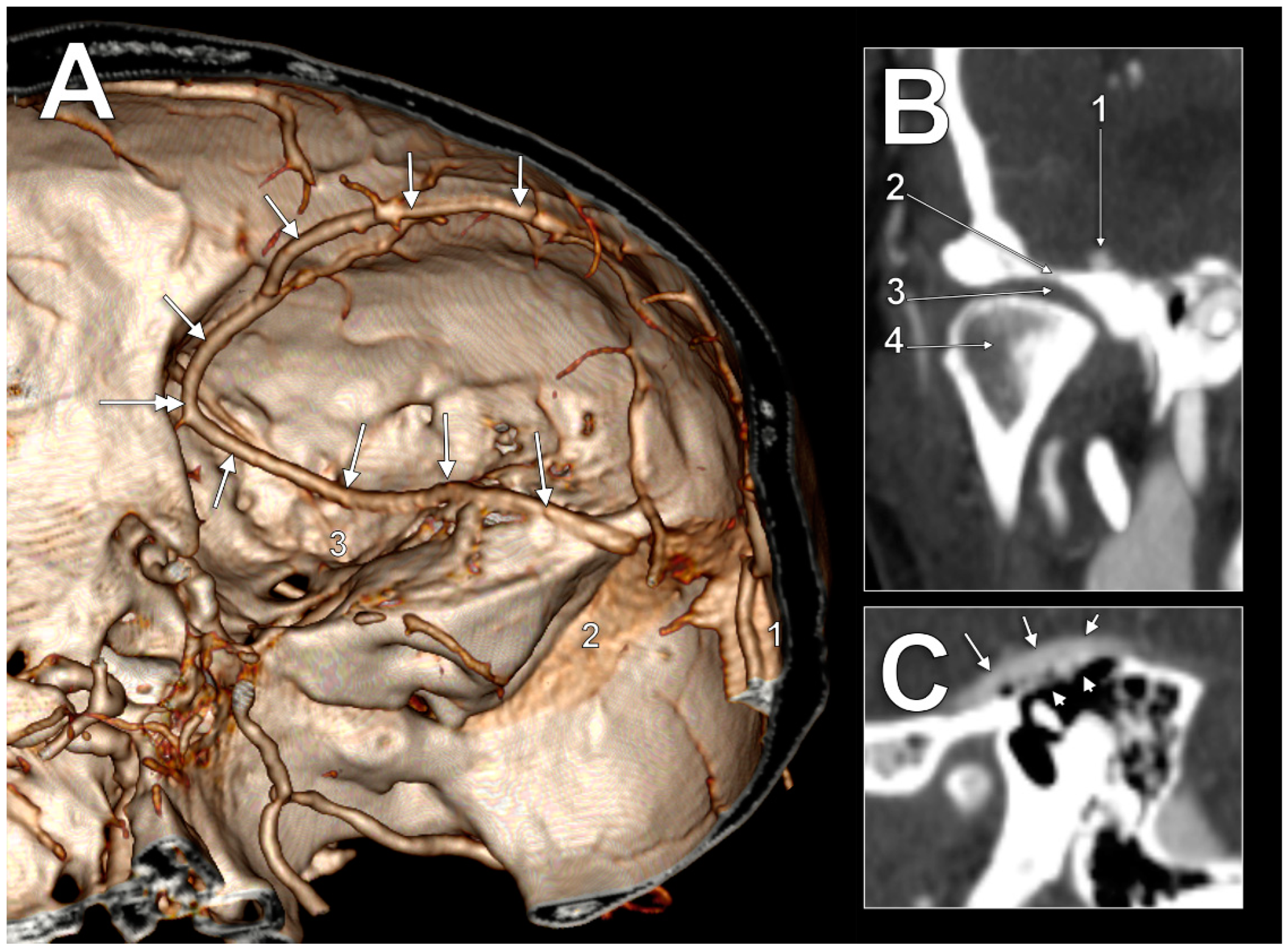 Medicina 60 00209 g001