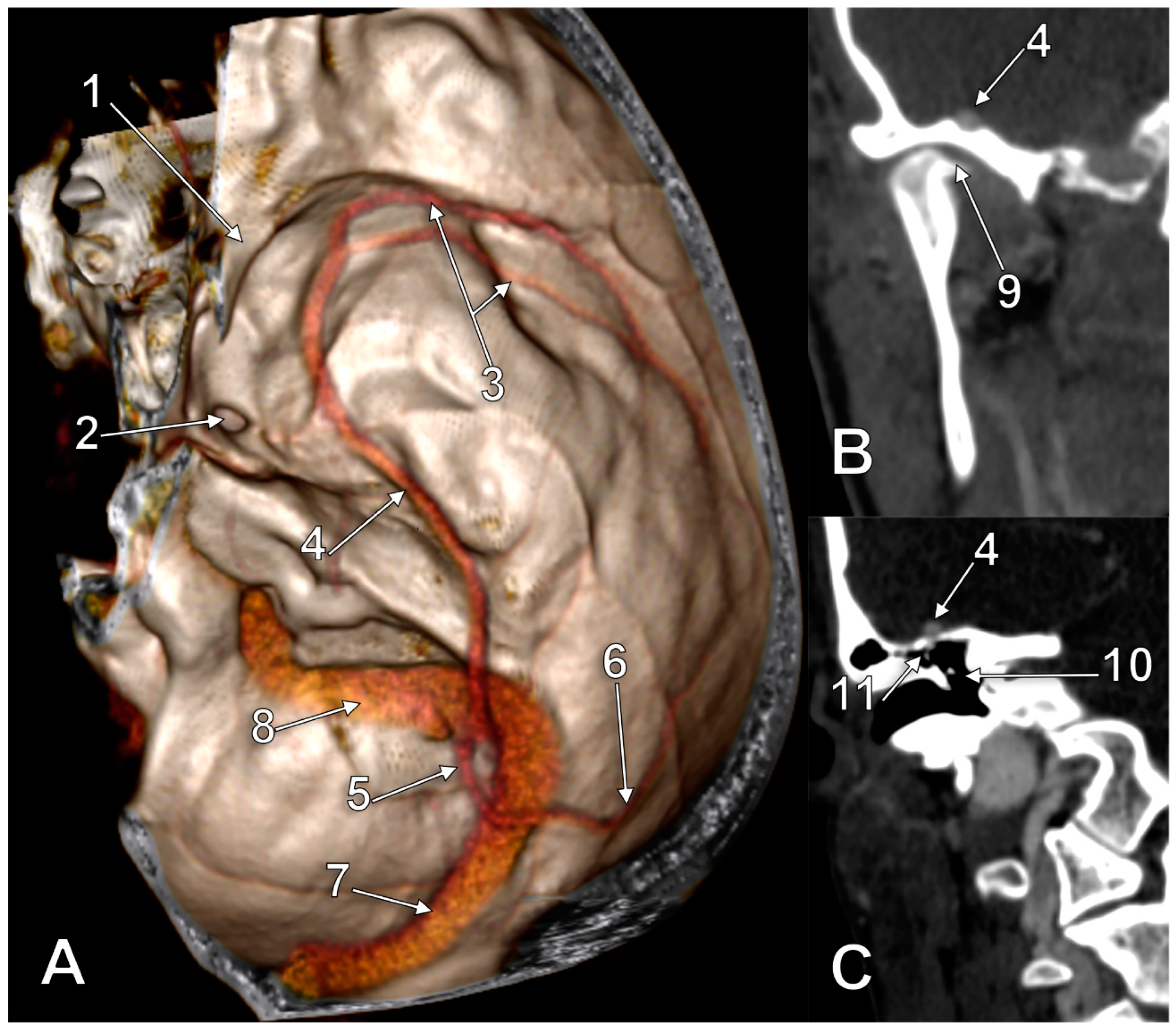 Medicina 60 00209 g003