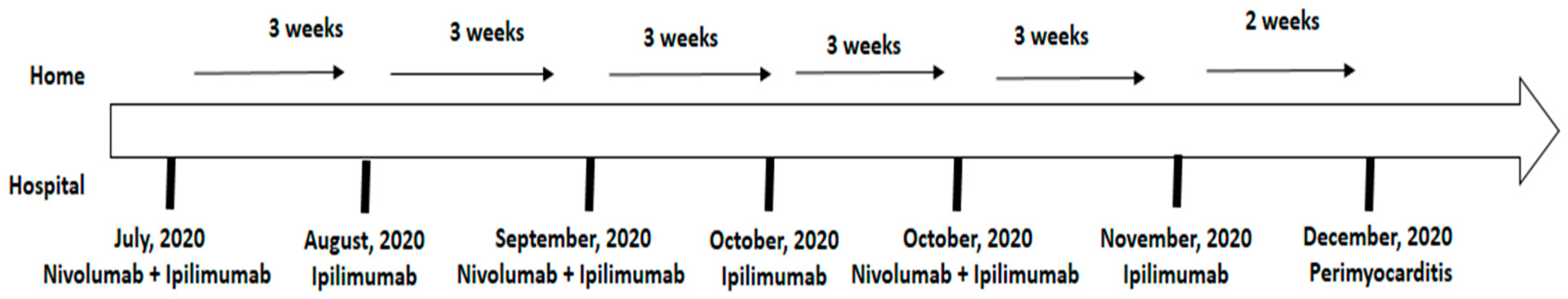 Medicina 60 00224 g002