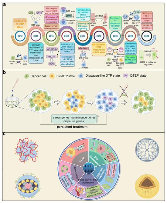 Diapause-like Drug-Tolerant Persister State: The Key to