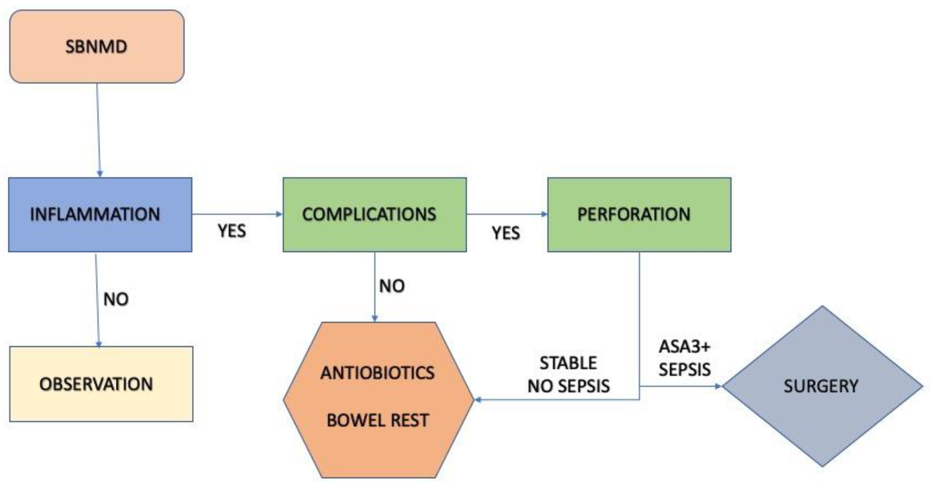Medicina 60 00229 g006