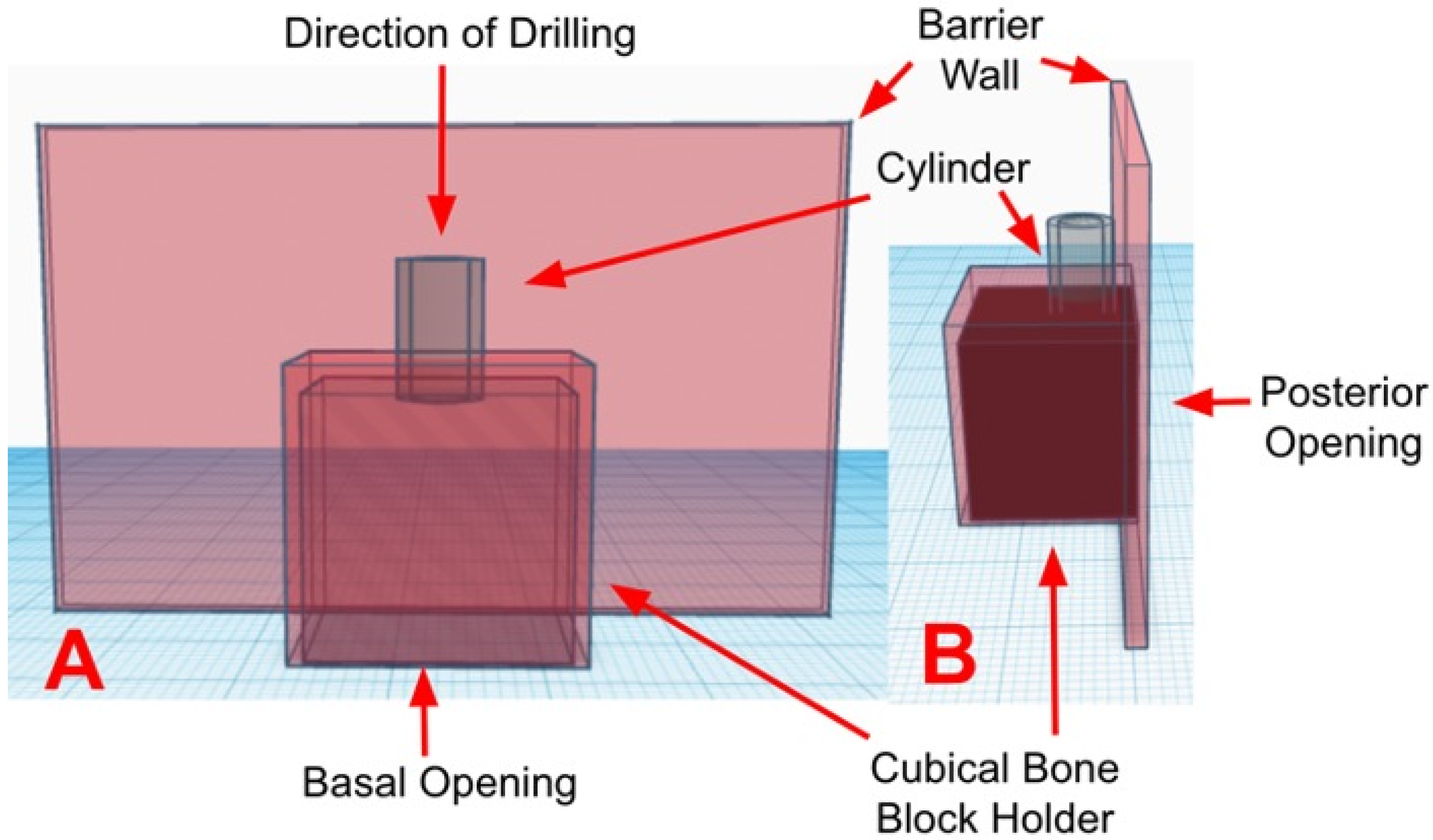 Medicina 60 00239 g001