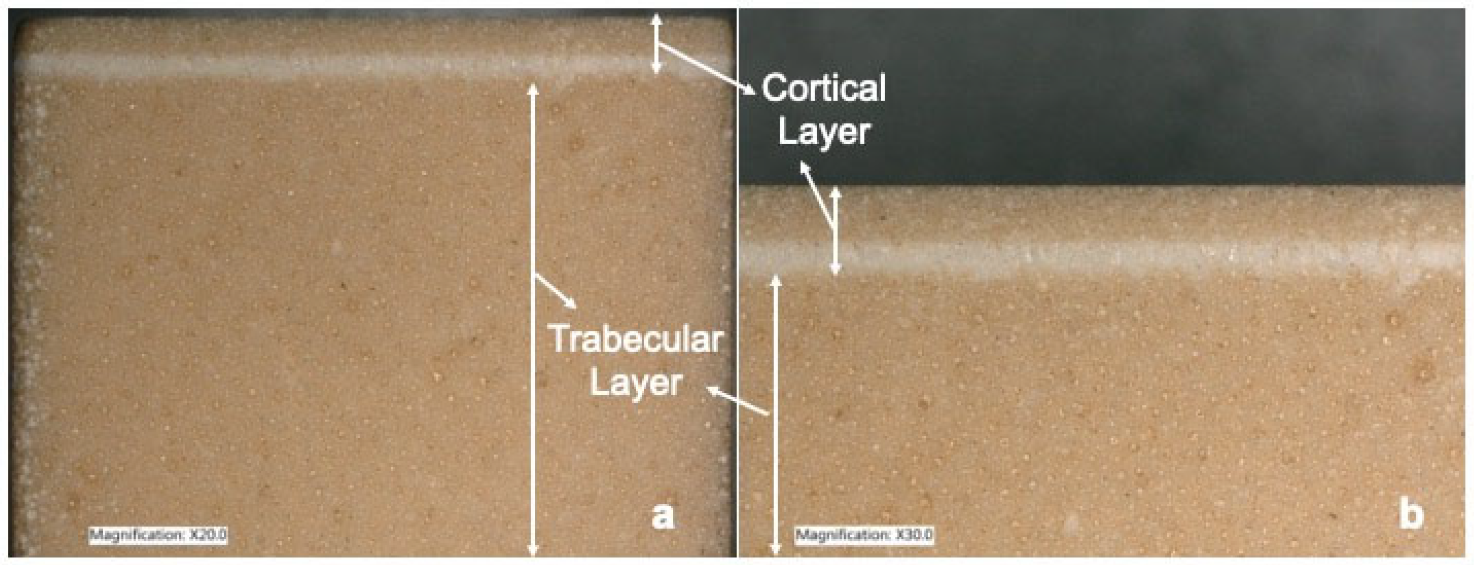 Medicina 60 00239 g002