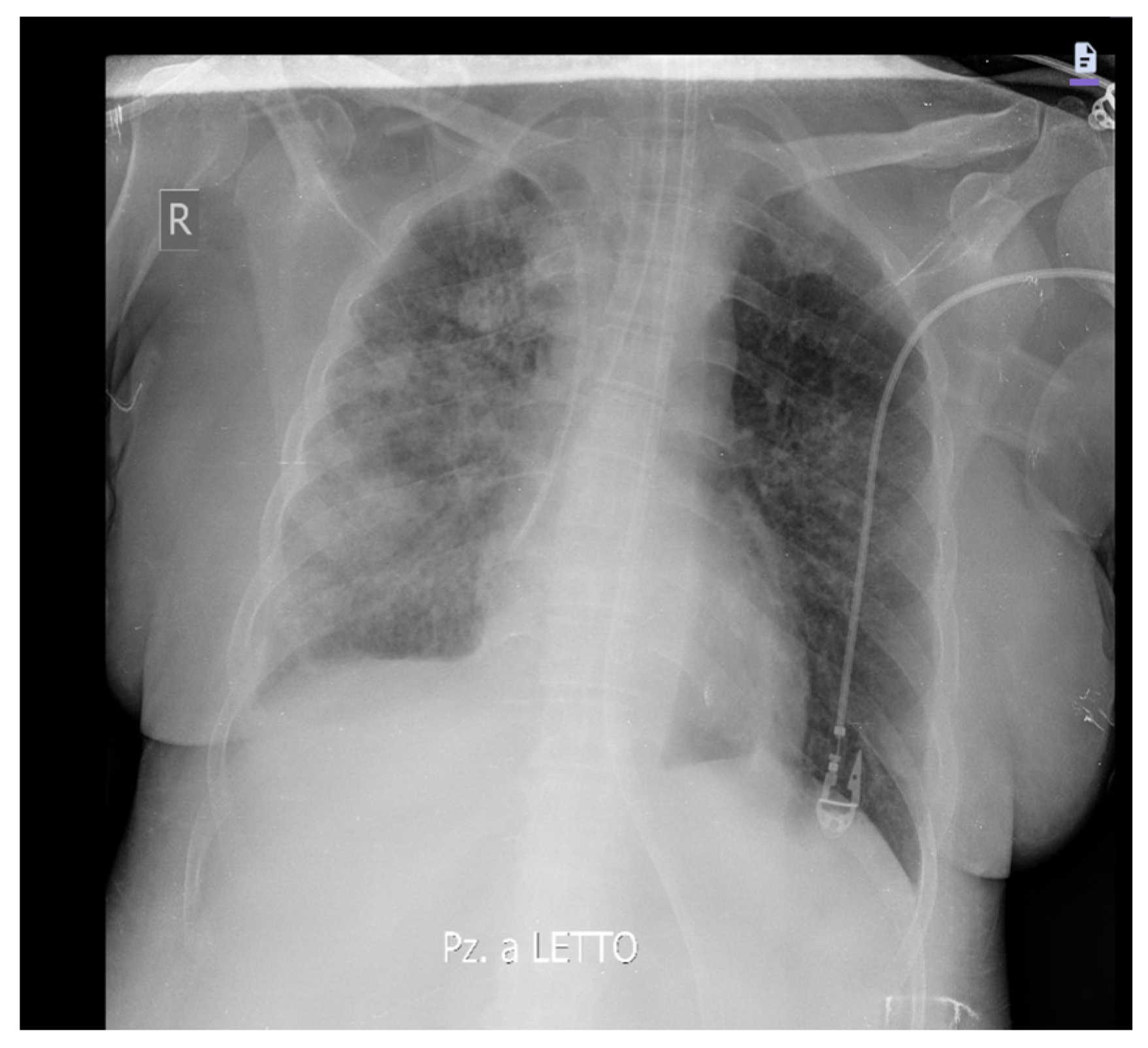 Medicina 60 00242 g003 Medicina 60 00242 g003