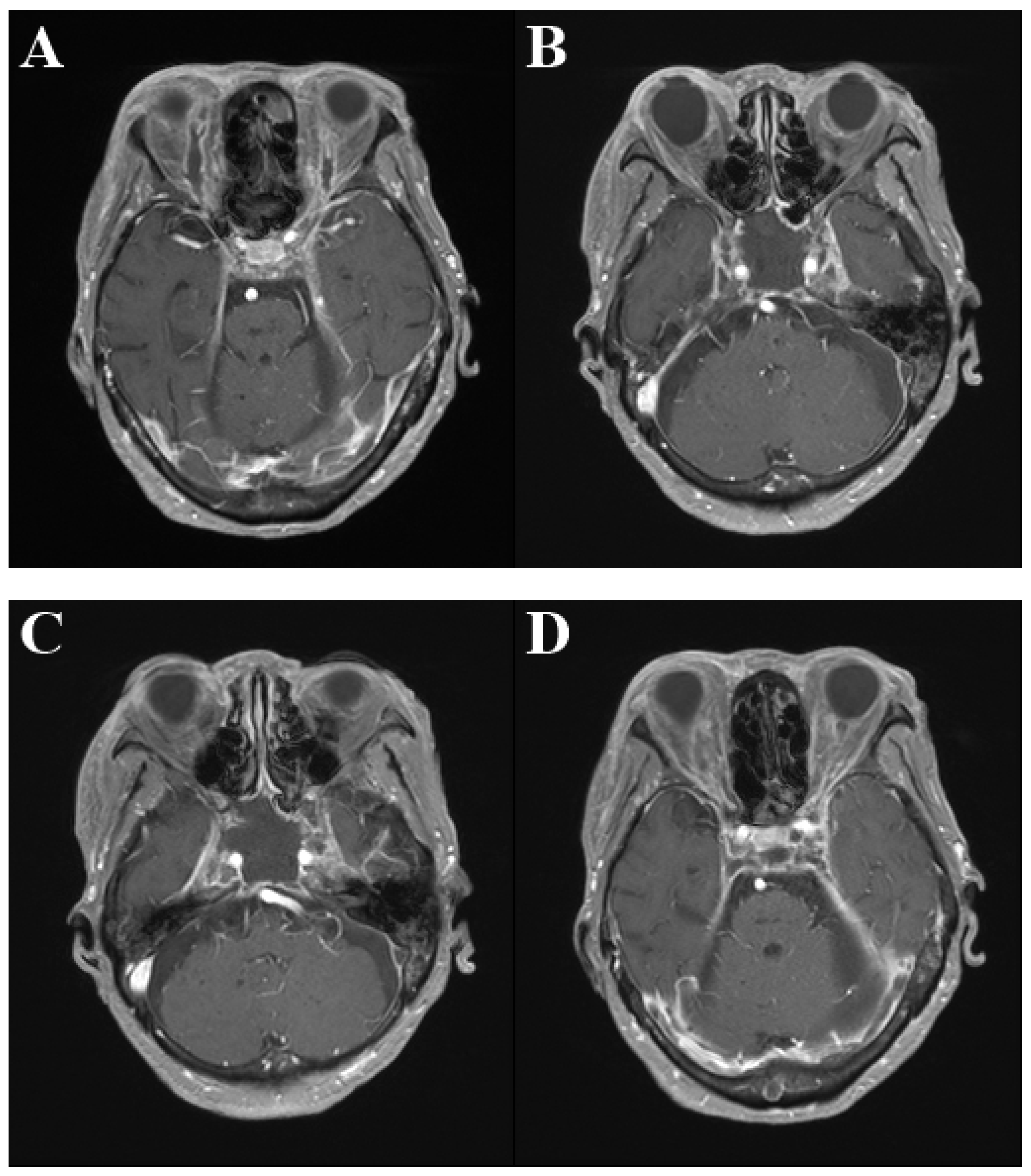 Medicina 60 00253 g001