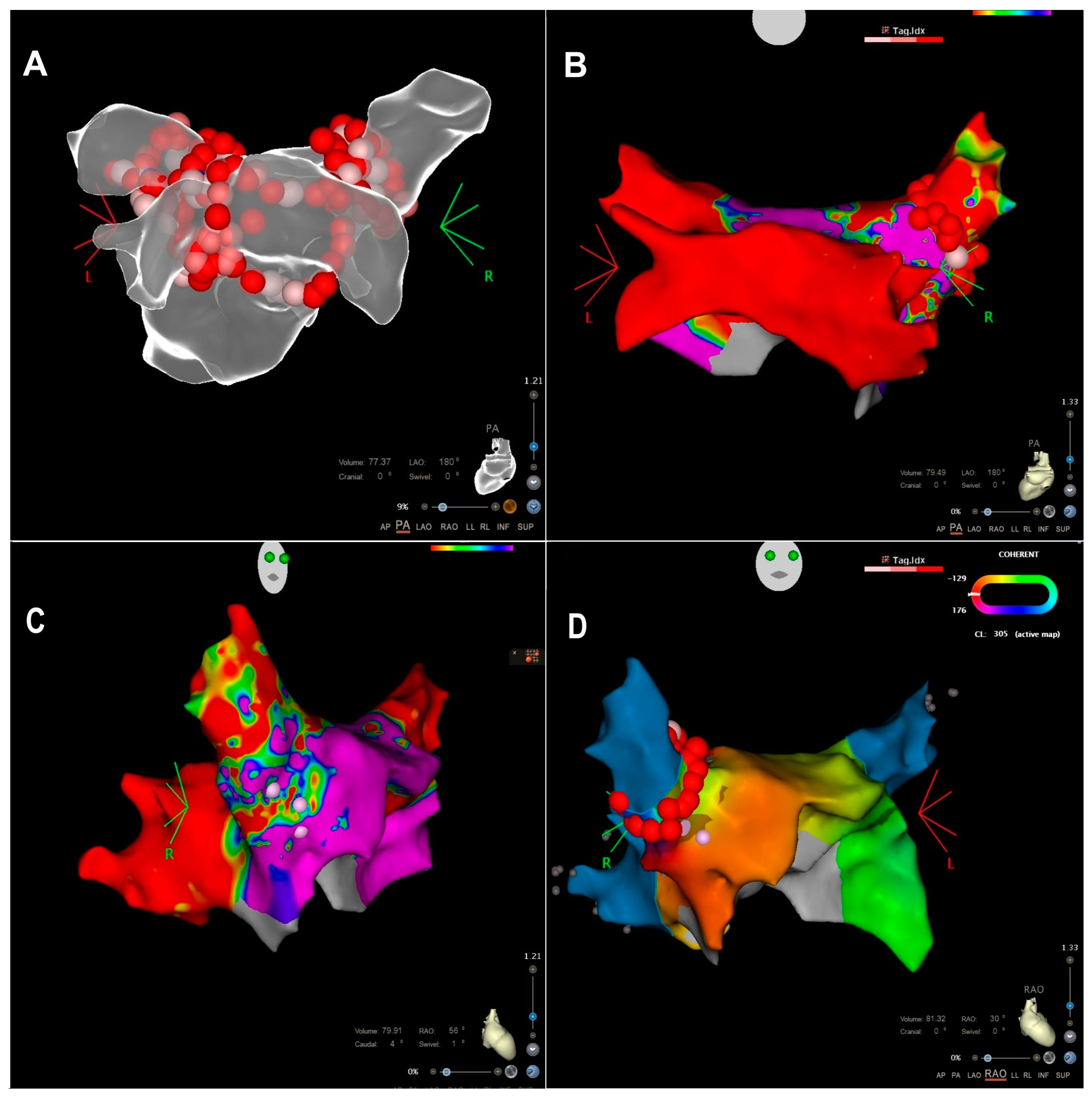 Medicina 60 00264 g001