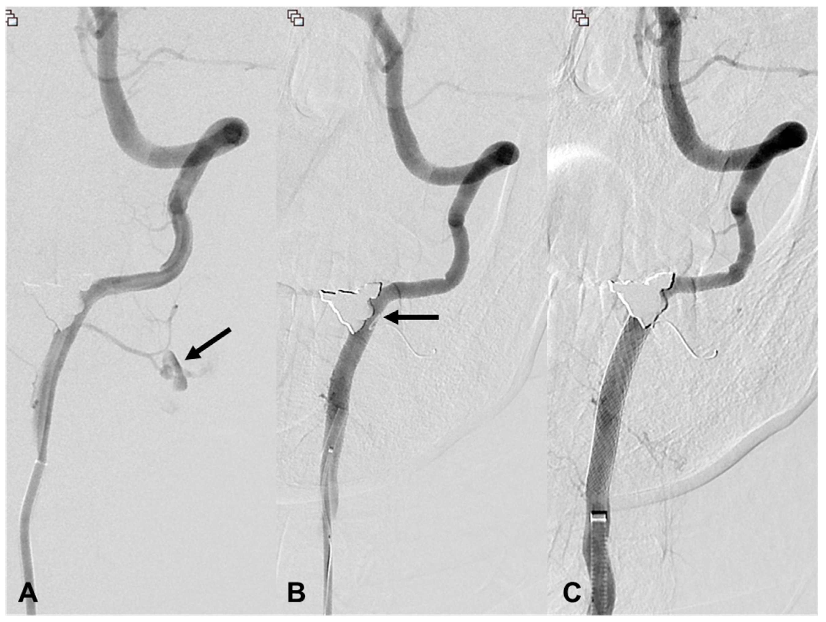 Medicina 60 00269 g004