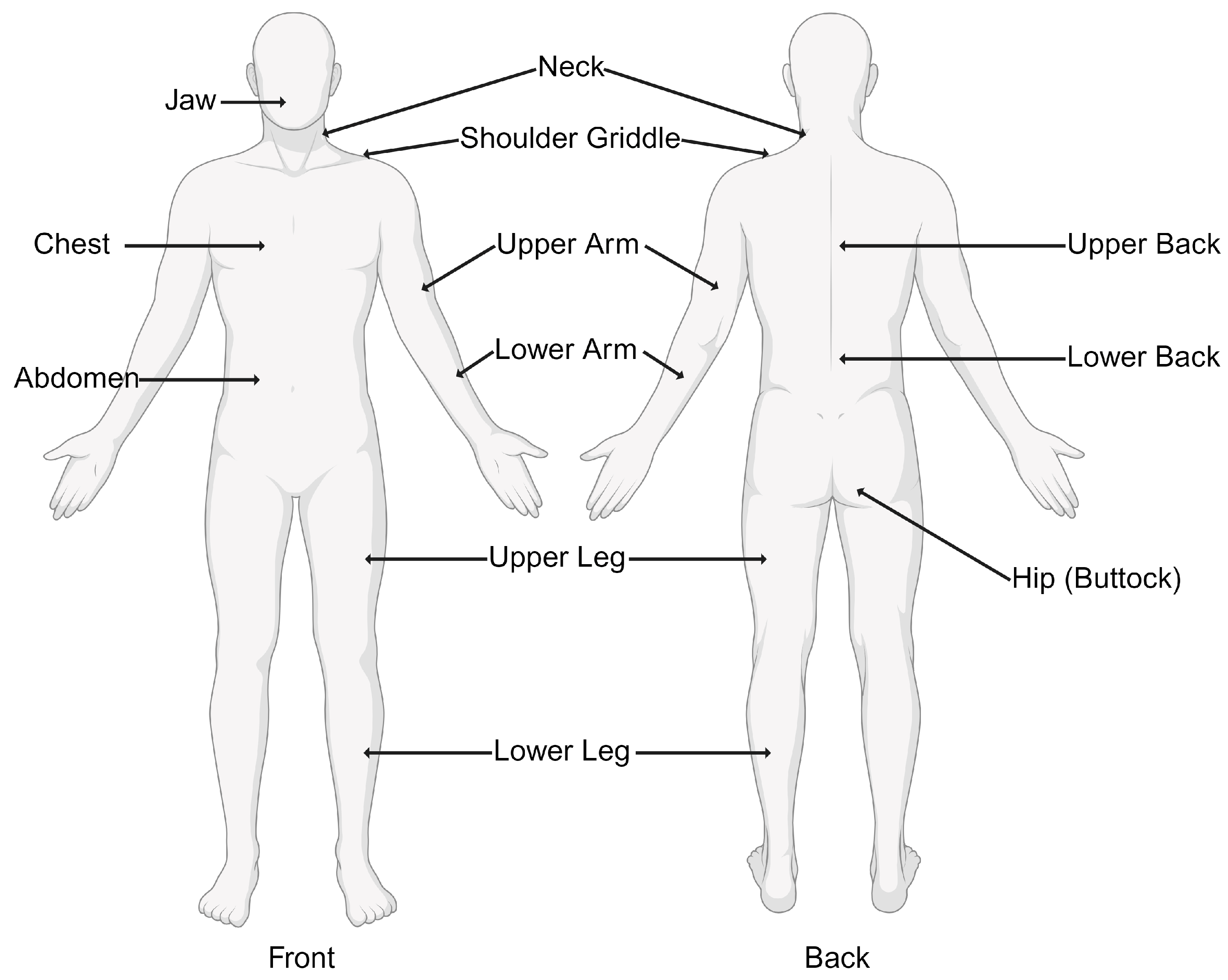 Medicina 60 00272 g001