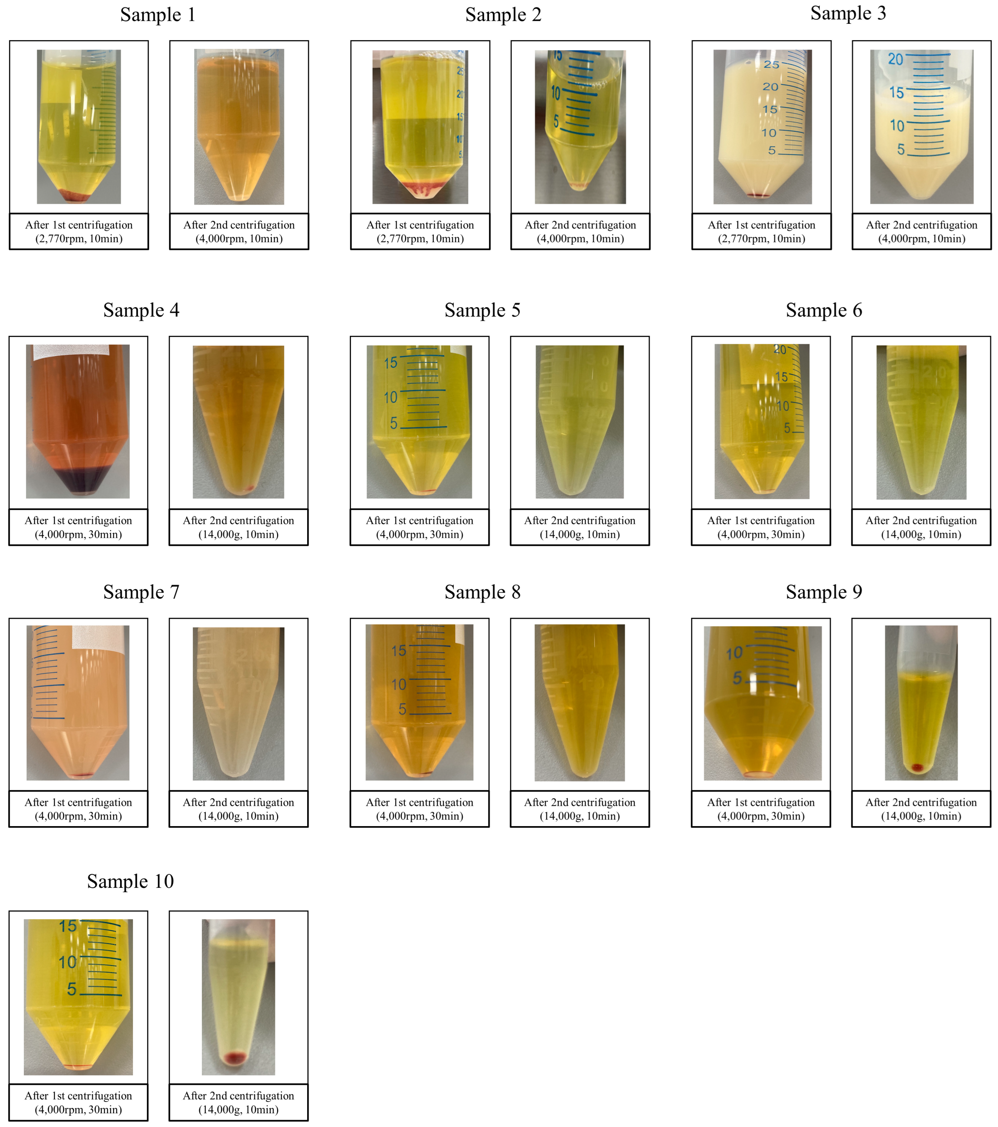 Medicina 60 00289 g001 Medicina 60 00289 g001