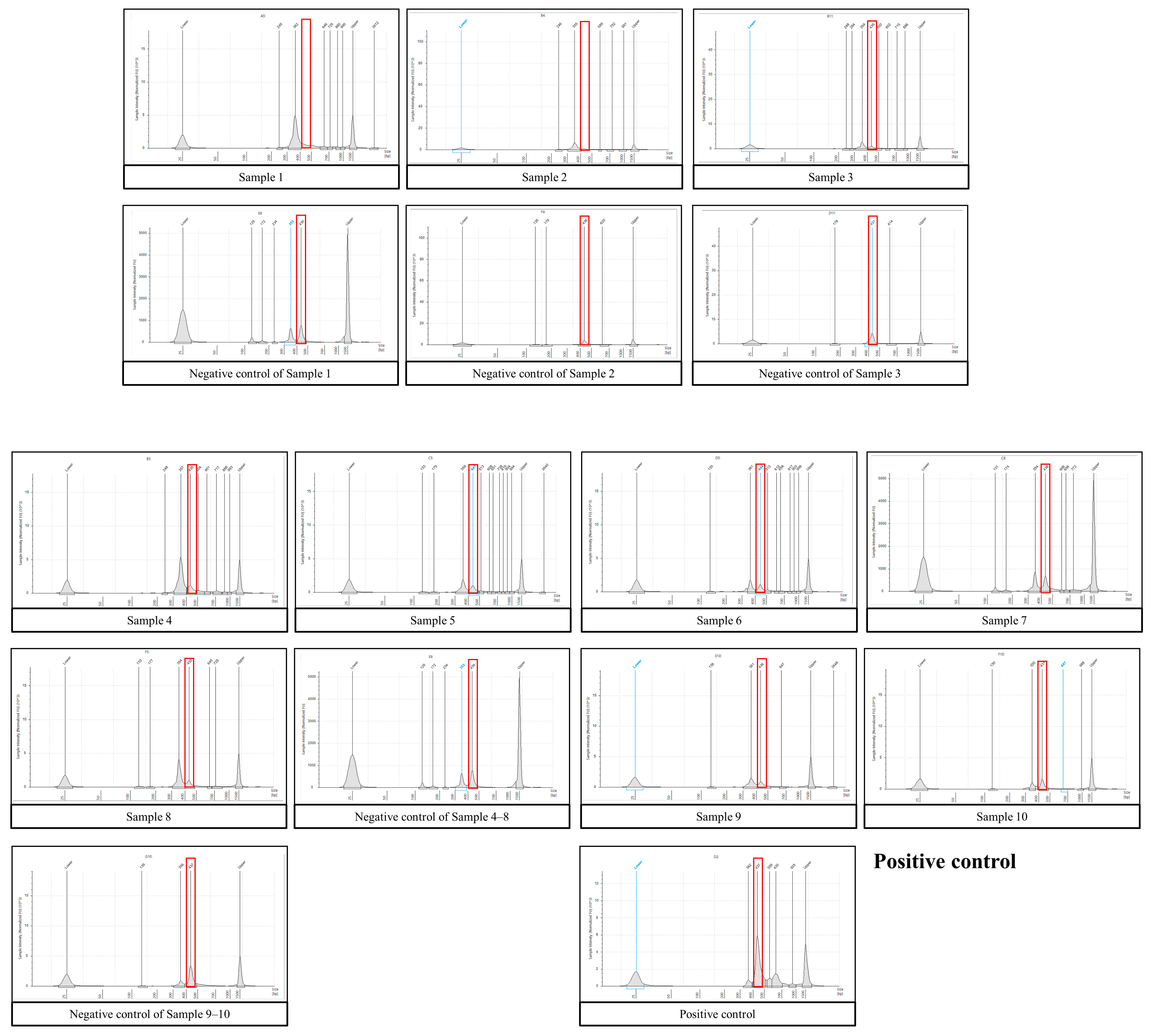 Medicina 60 00289 g002 Medicina 60 00289 g002