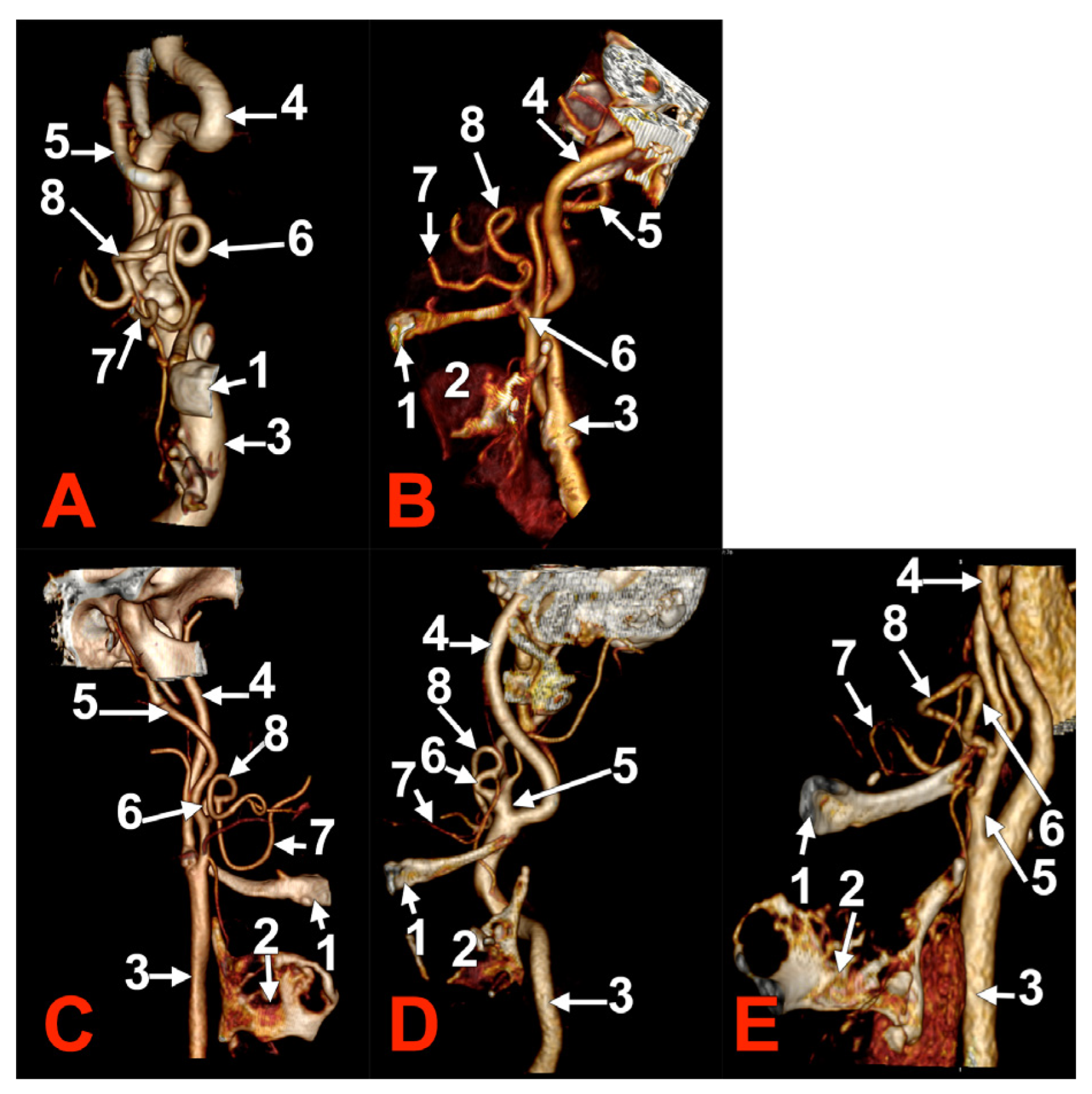 Medicina 60 00291 g005