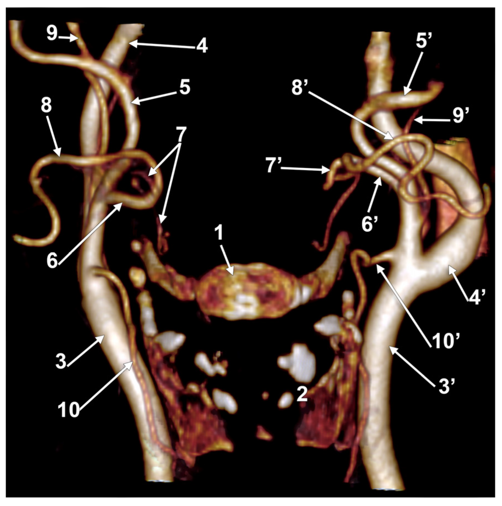 Medicina 60 00291 g007
