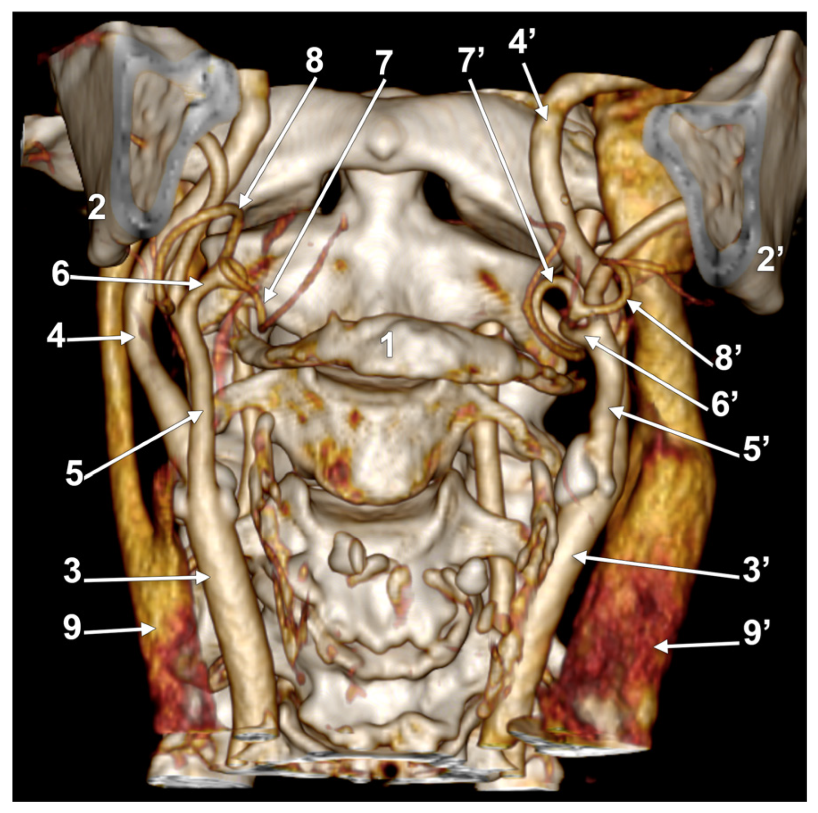 Medicina 60 00291 g009