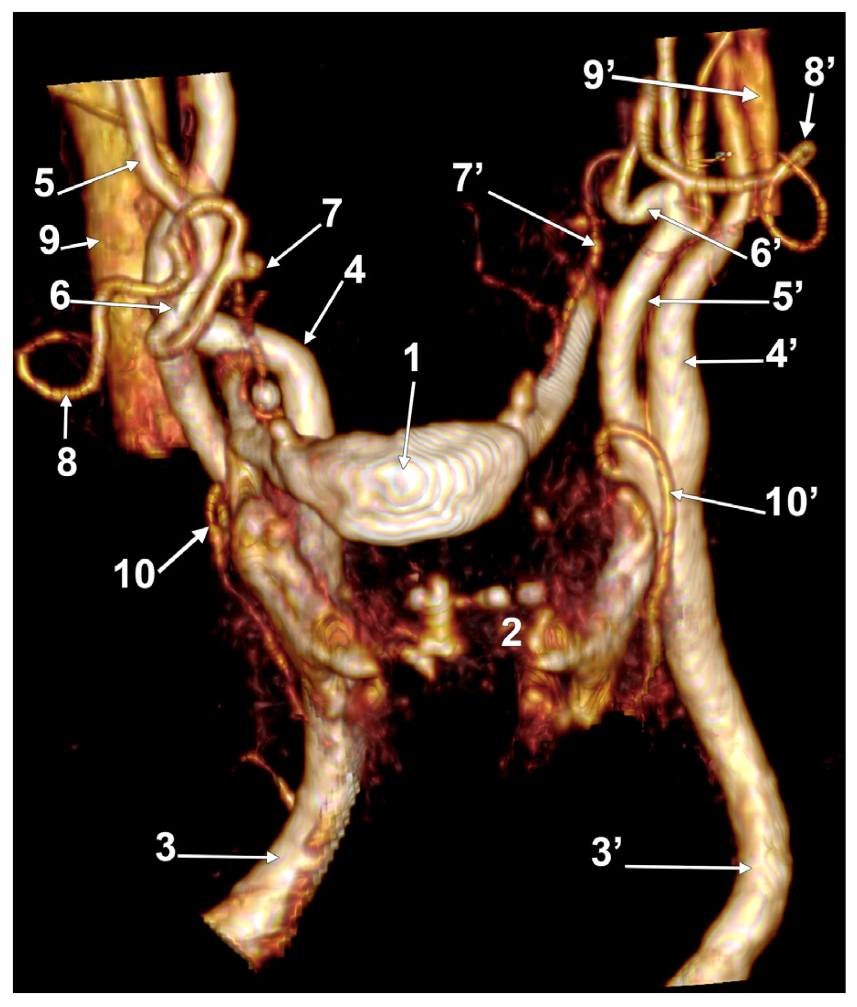 Medicina 60 00291 g015