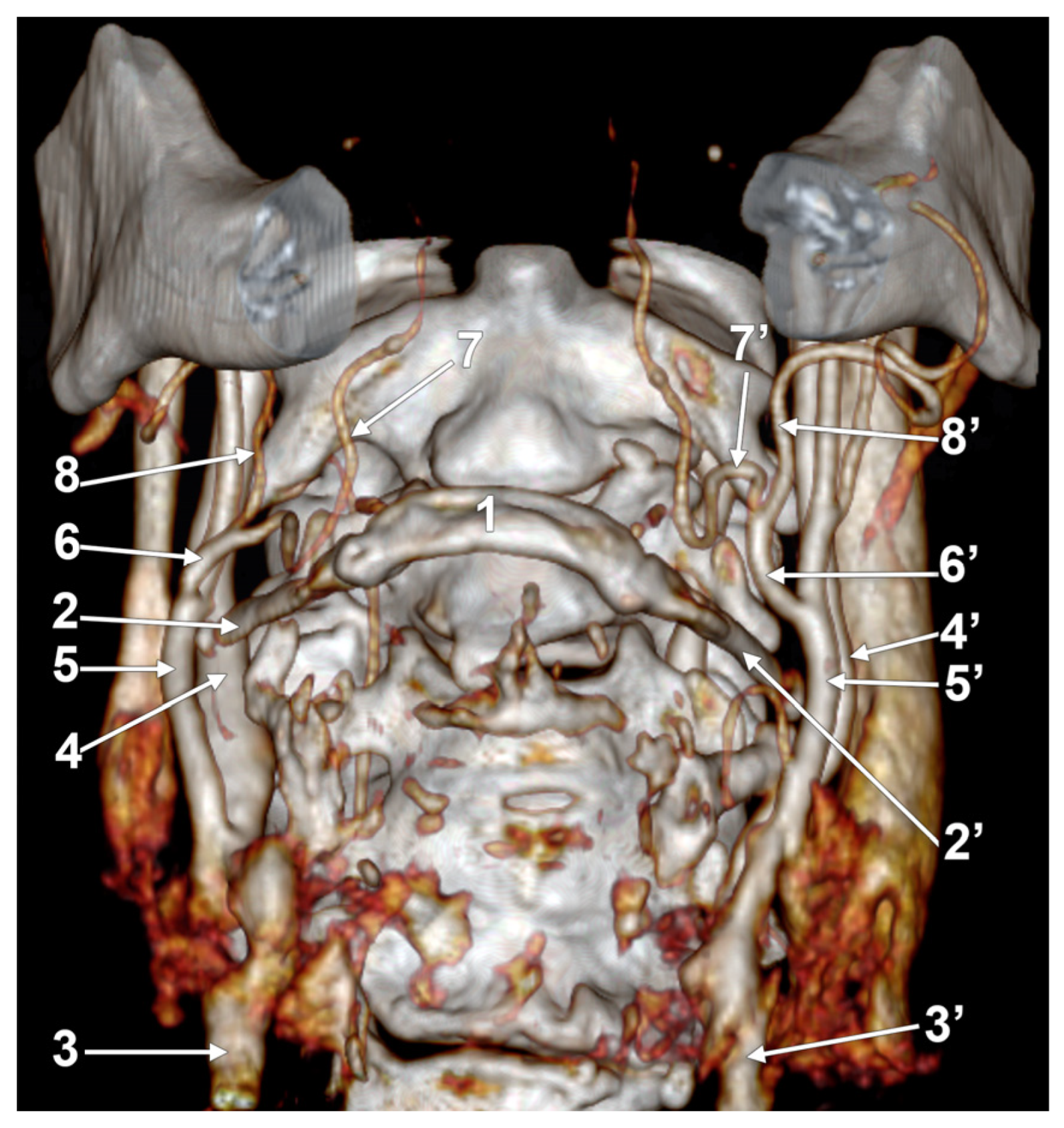 Medicina 60 00291 g017