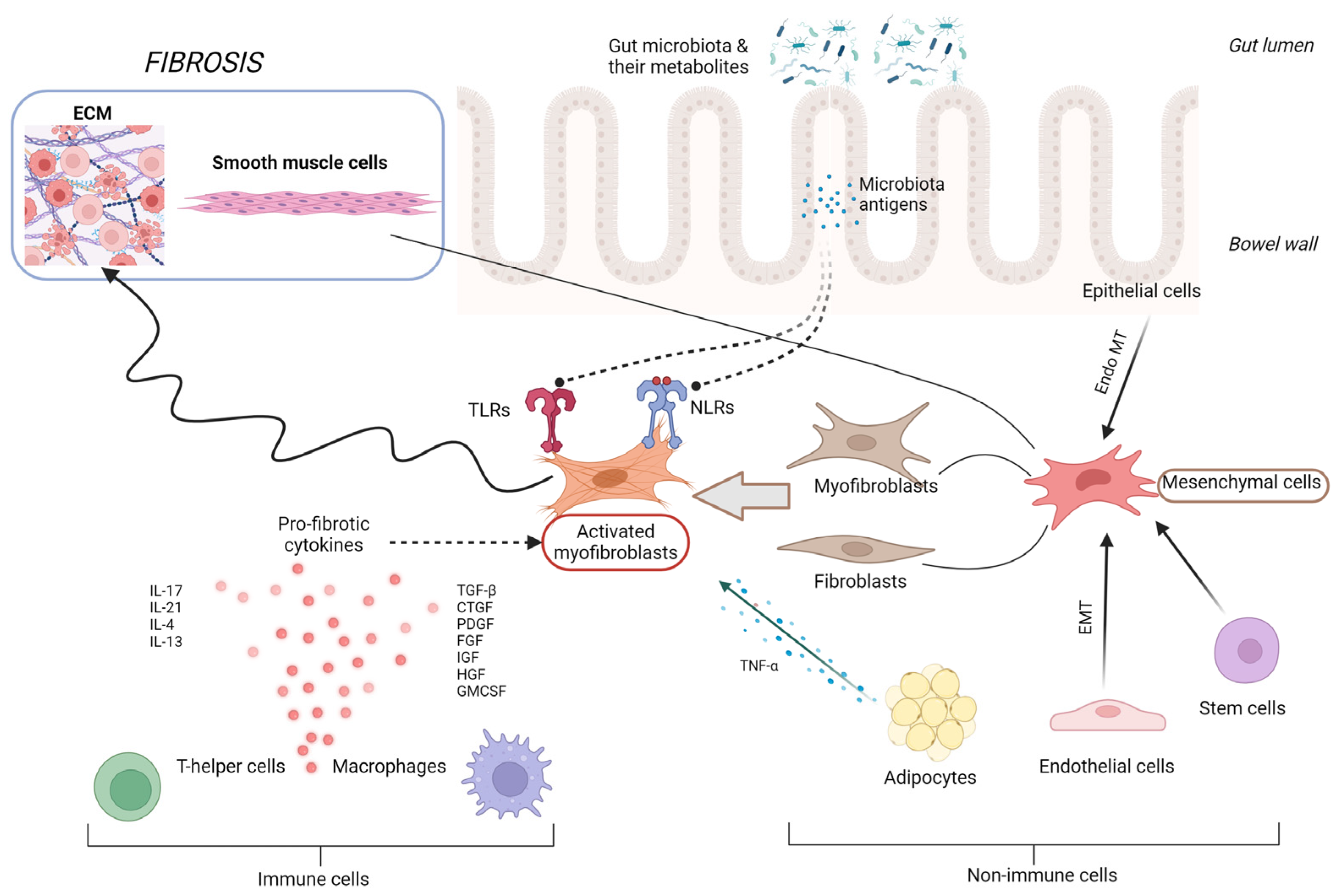 Medicina 60 00305 g001 Medicina 60 00305 g001