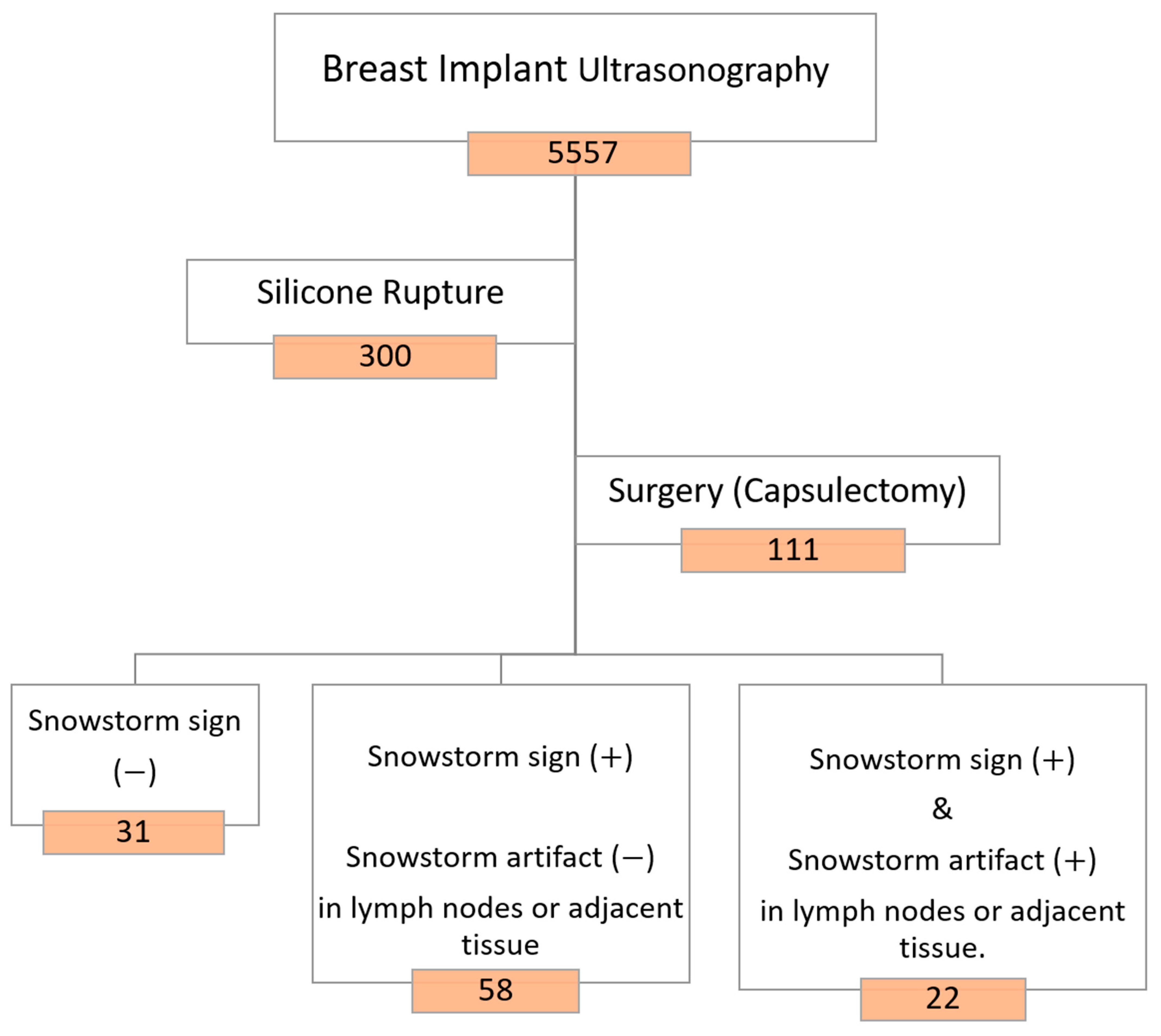 Medicina 60 00306 g001