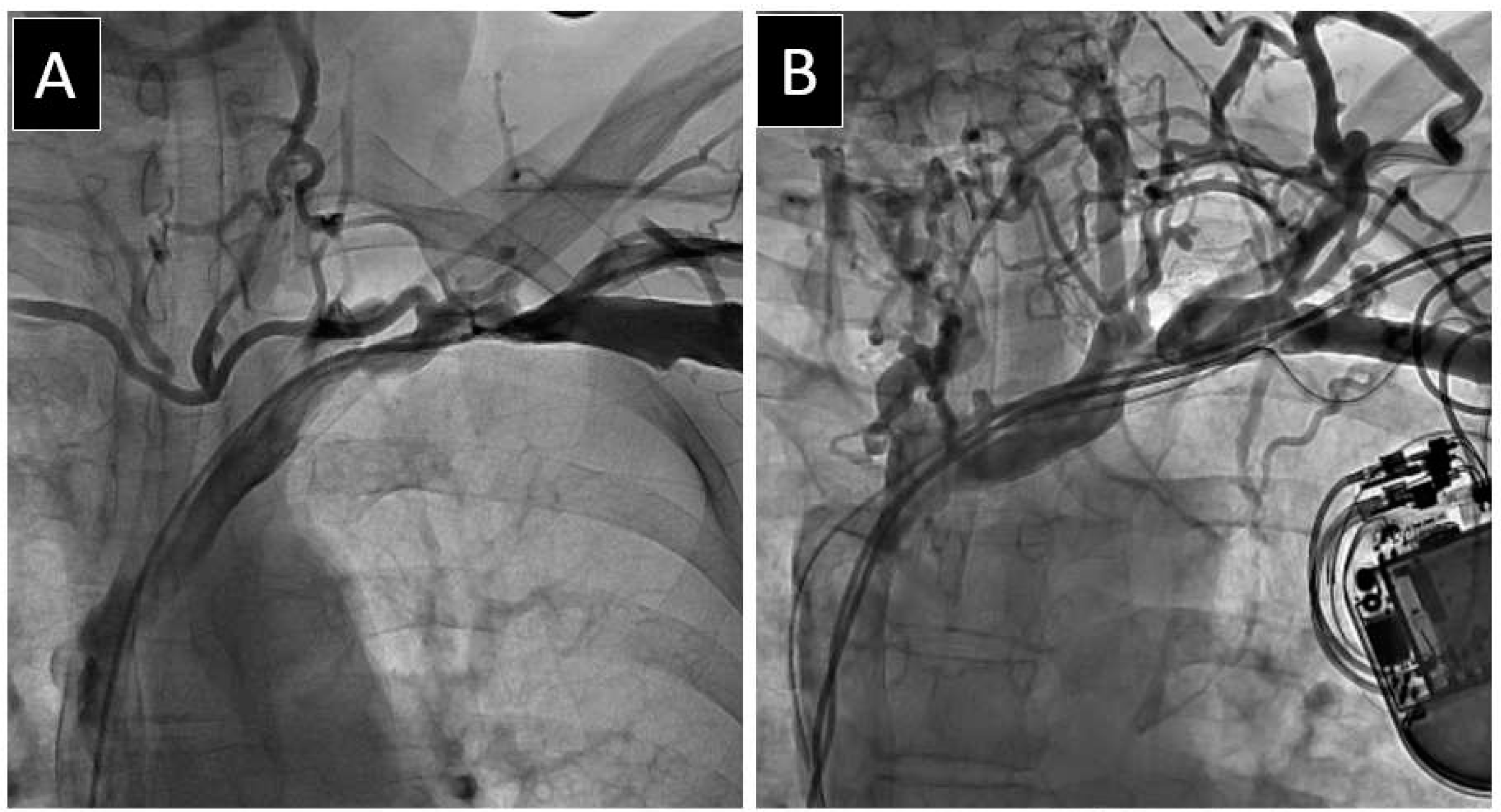 Medicina 60 00336 g001a