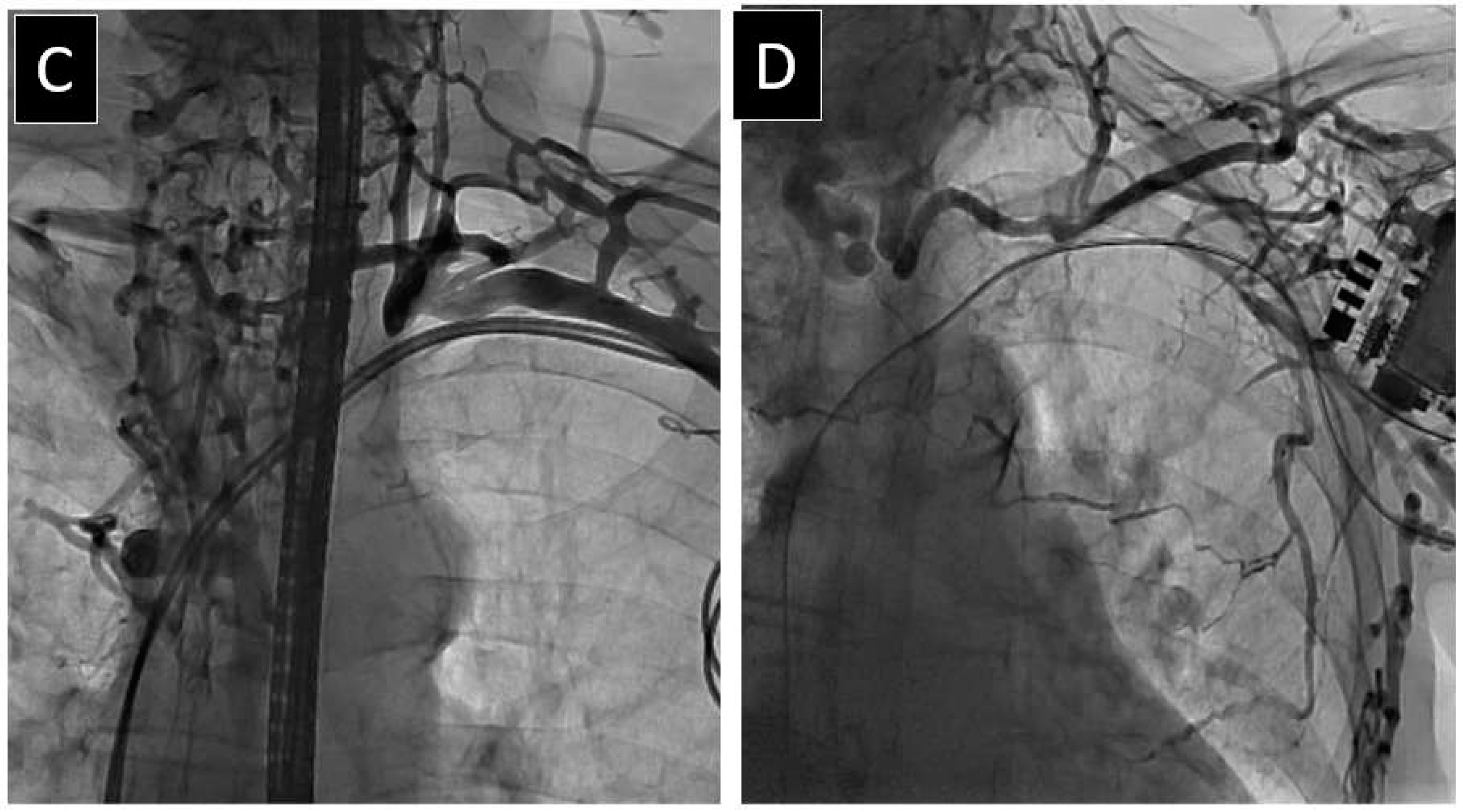 Medicina 60 00336 g001b