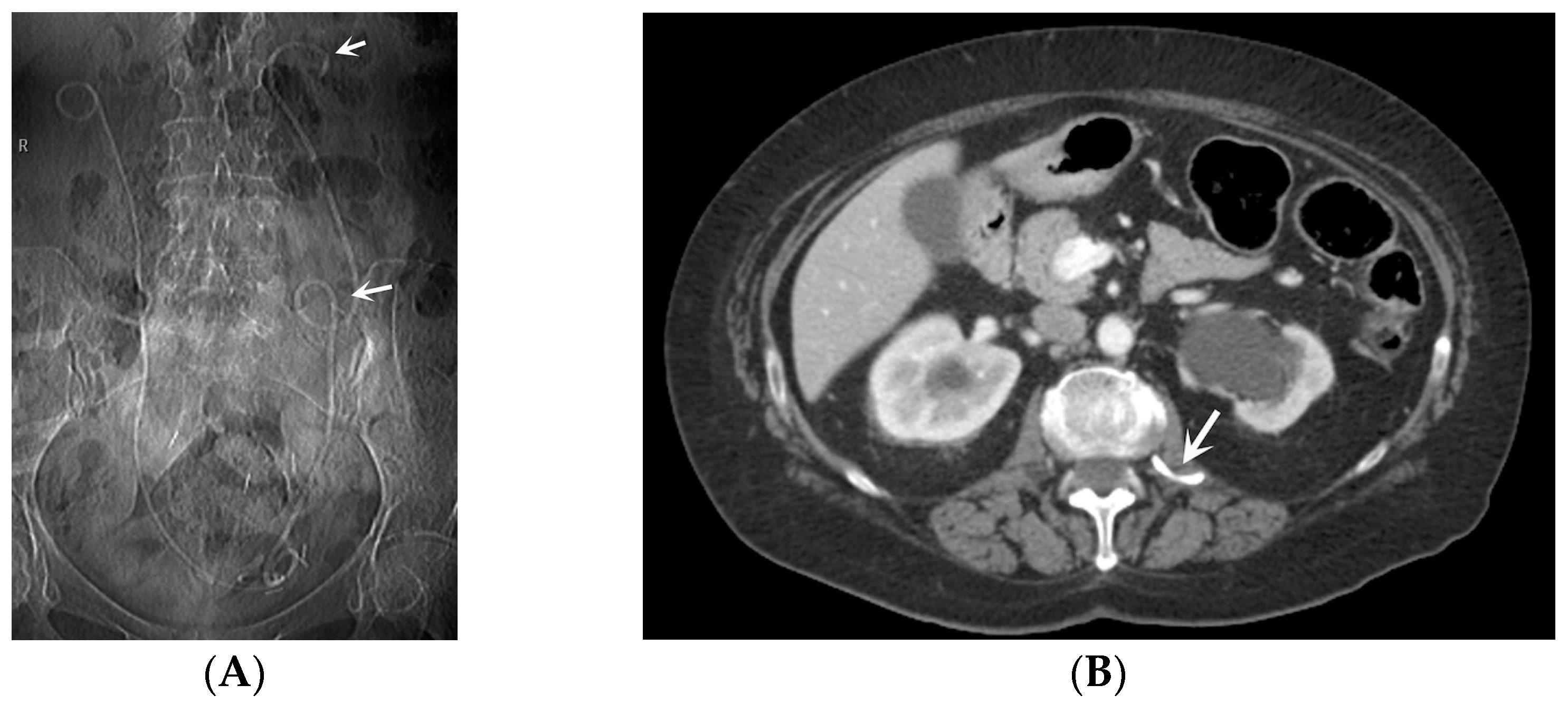 Medicina 60 00338 g007