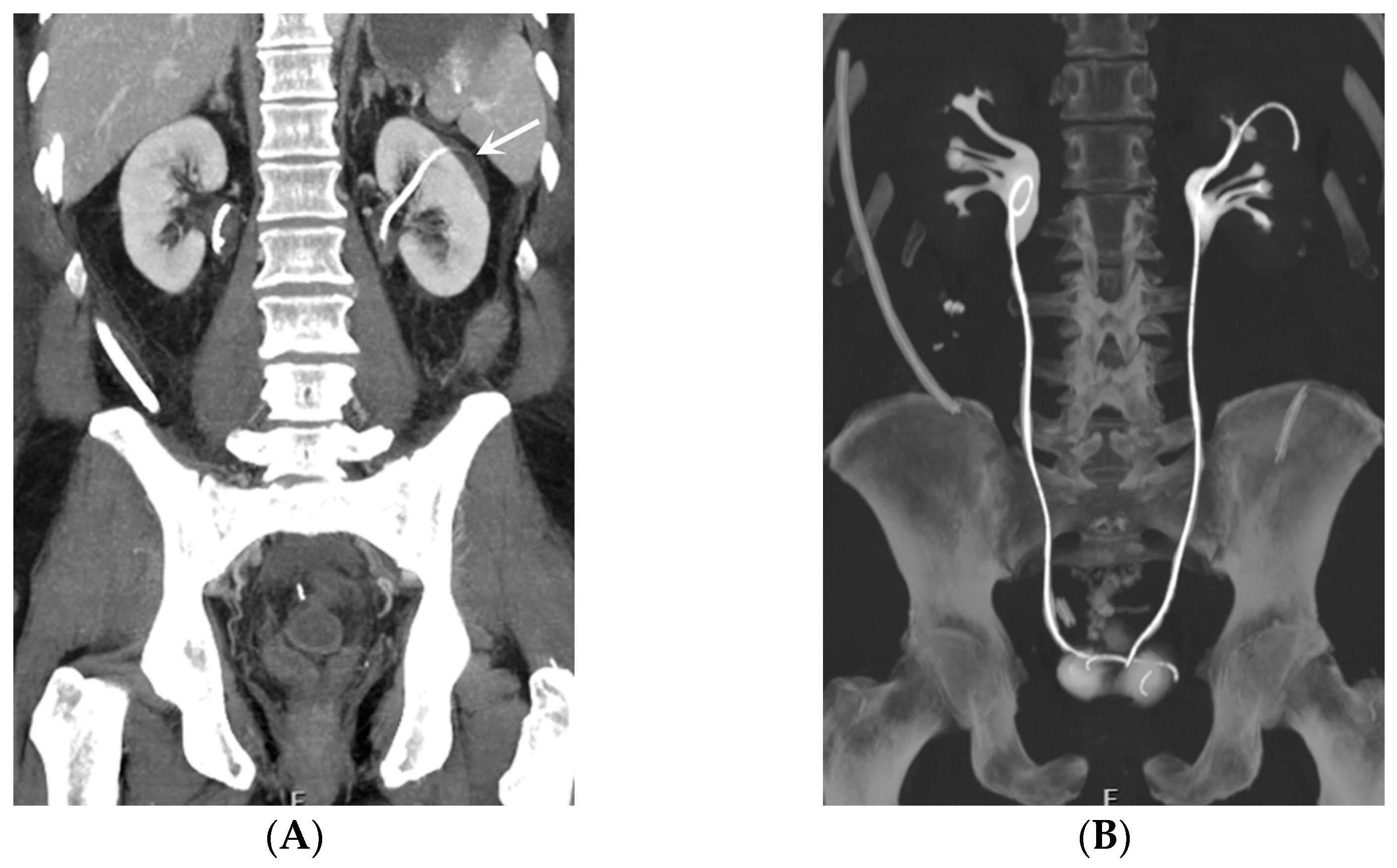 Medicina 60 00338 g010