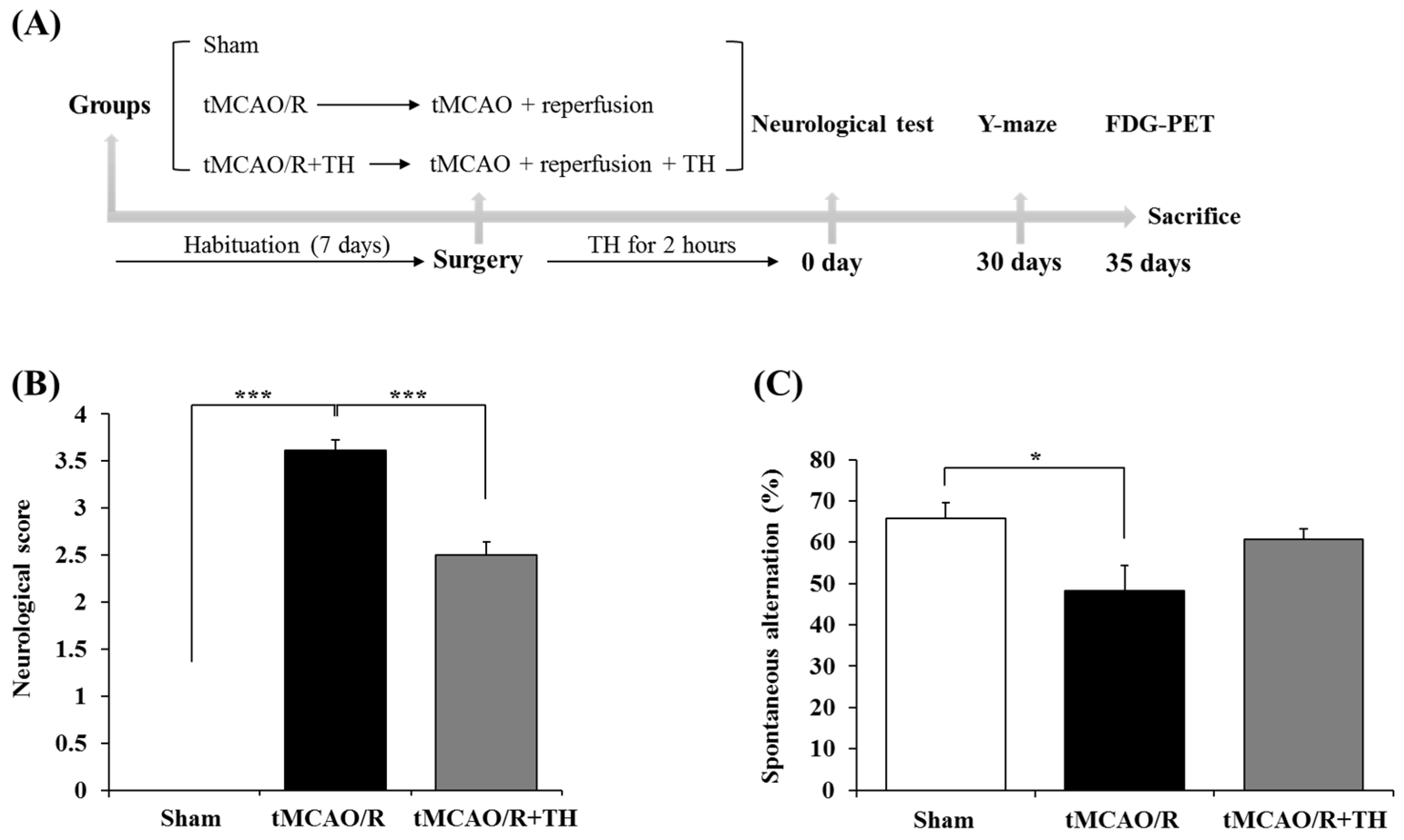 Medicina 60 00350 g001