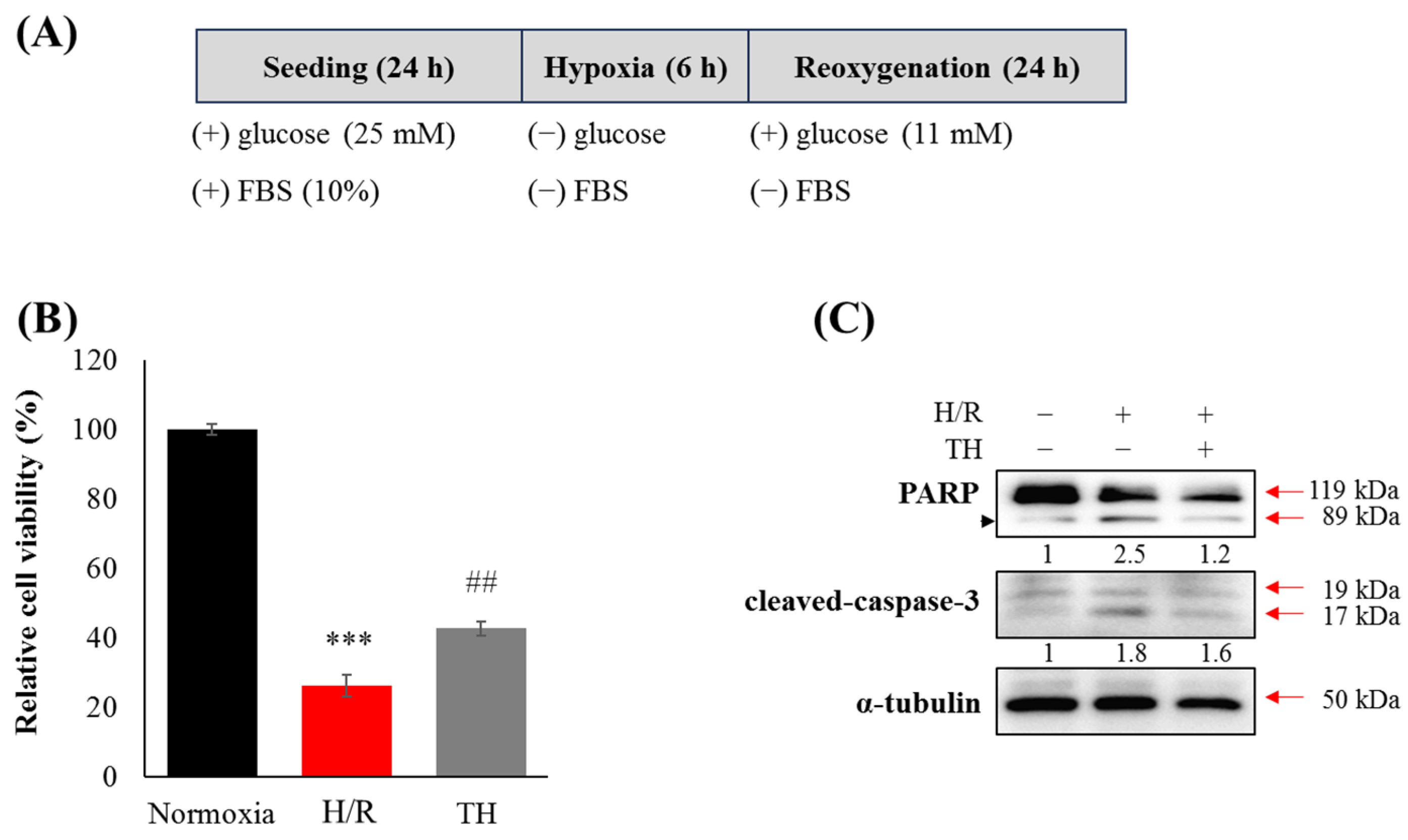 Medicina 60 00350 g003