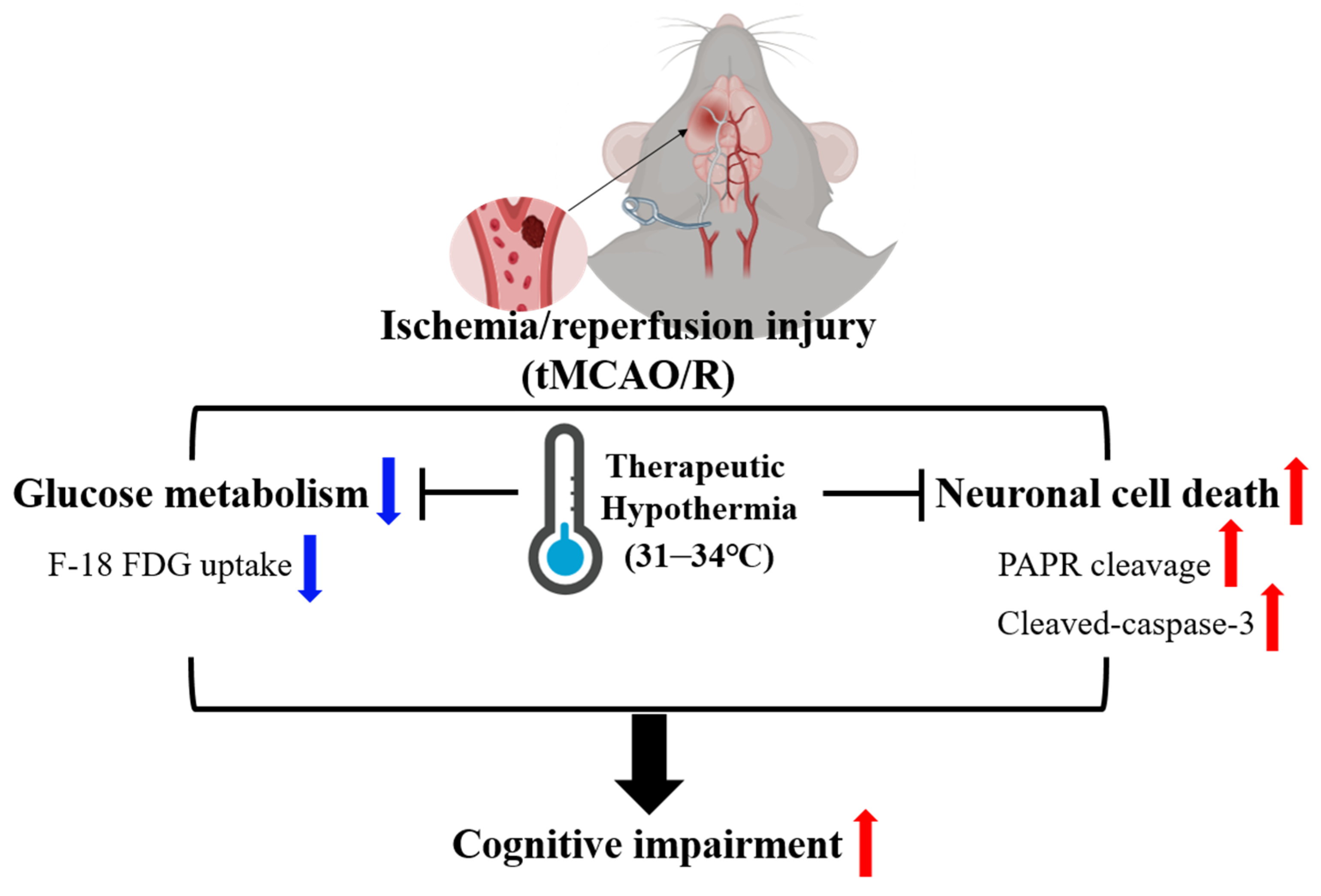 Medicina 60 00350 g004