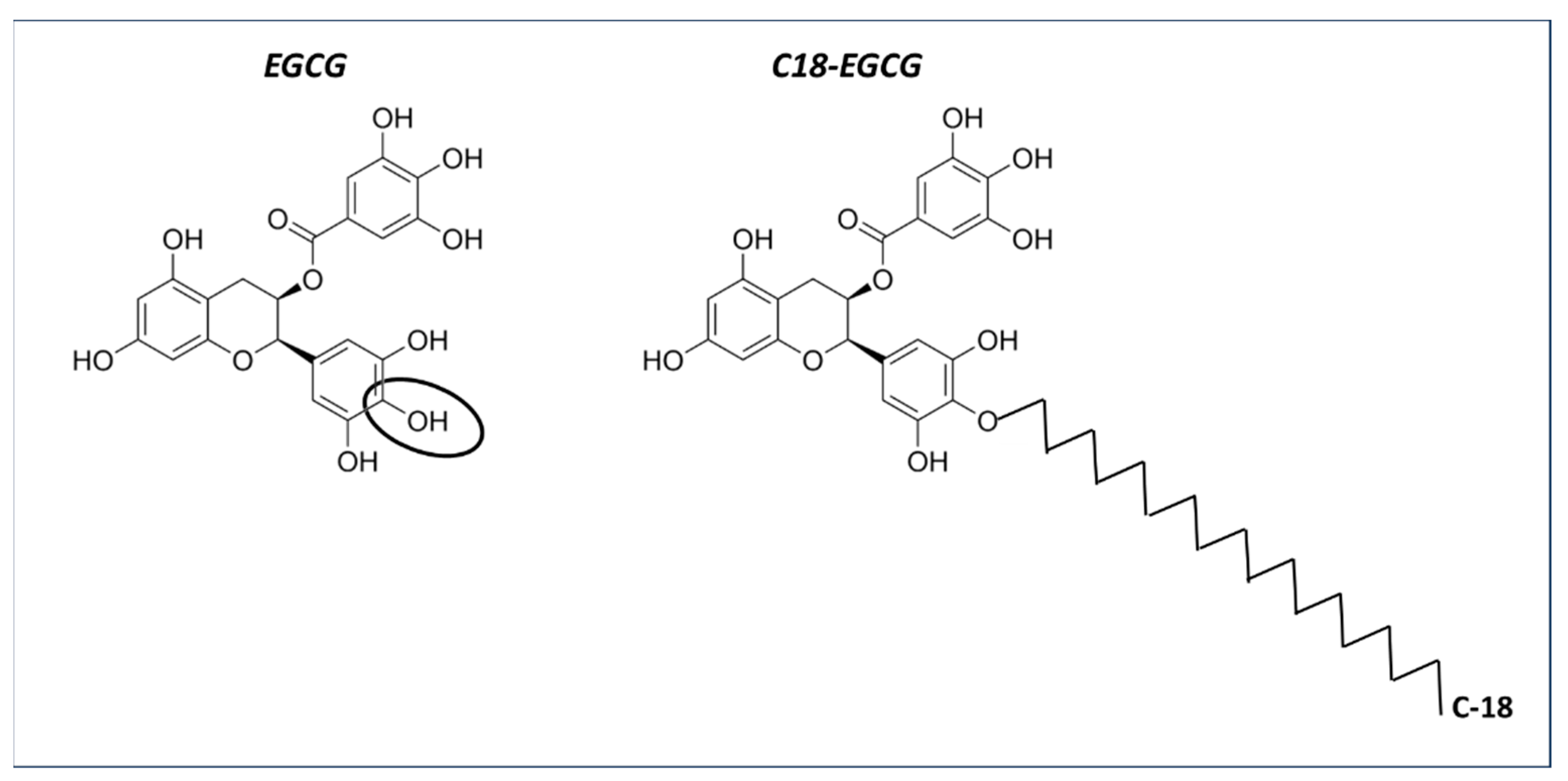 Medicina 60 00354 g002