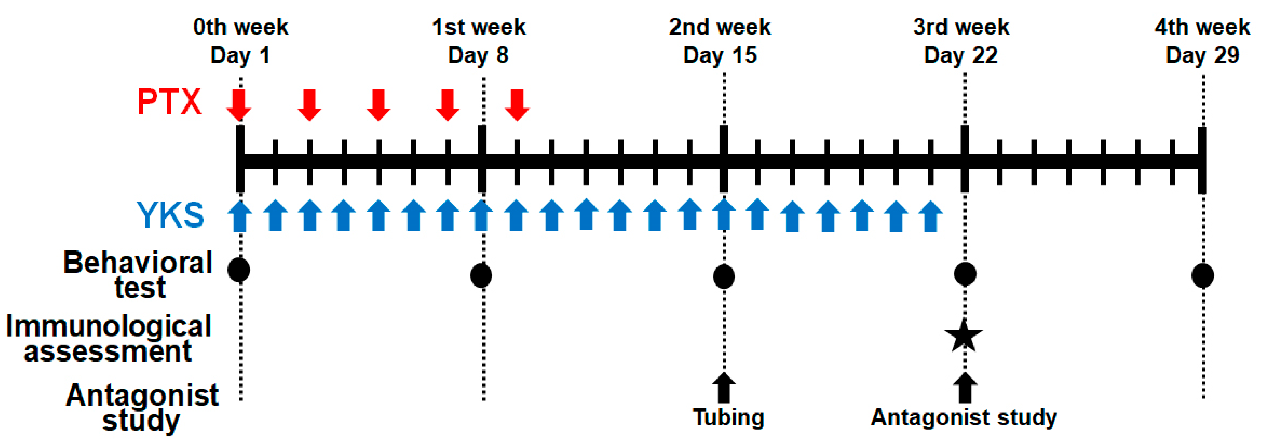 Medicina 60 00359 g001 Medicina 60 00359 g001