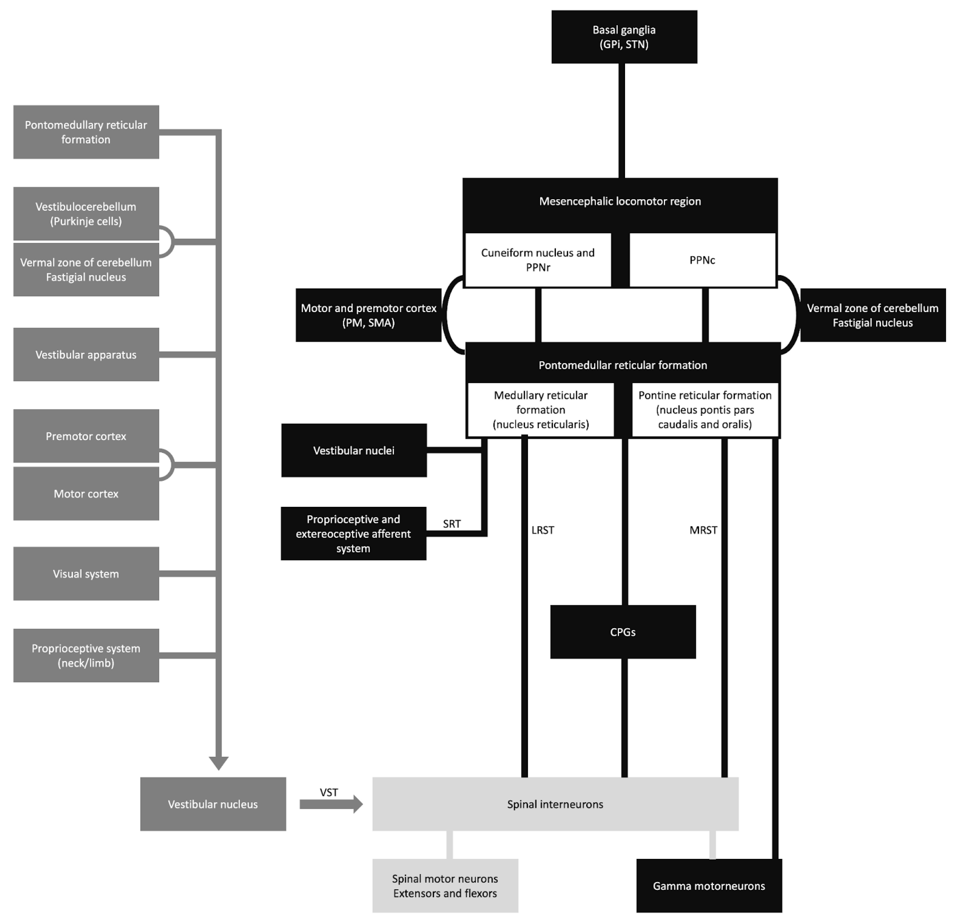 Medicina 60 00362 g001