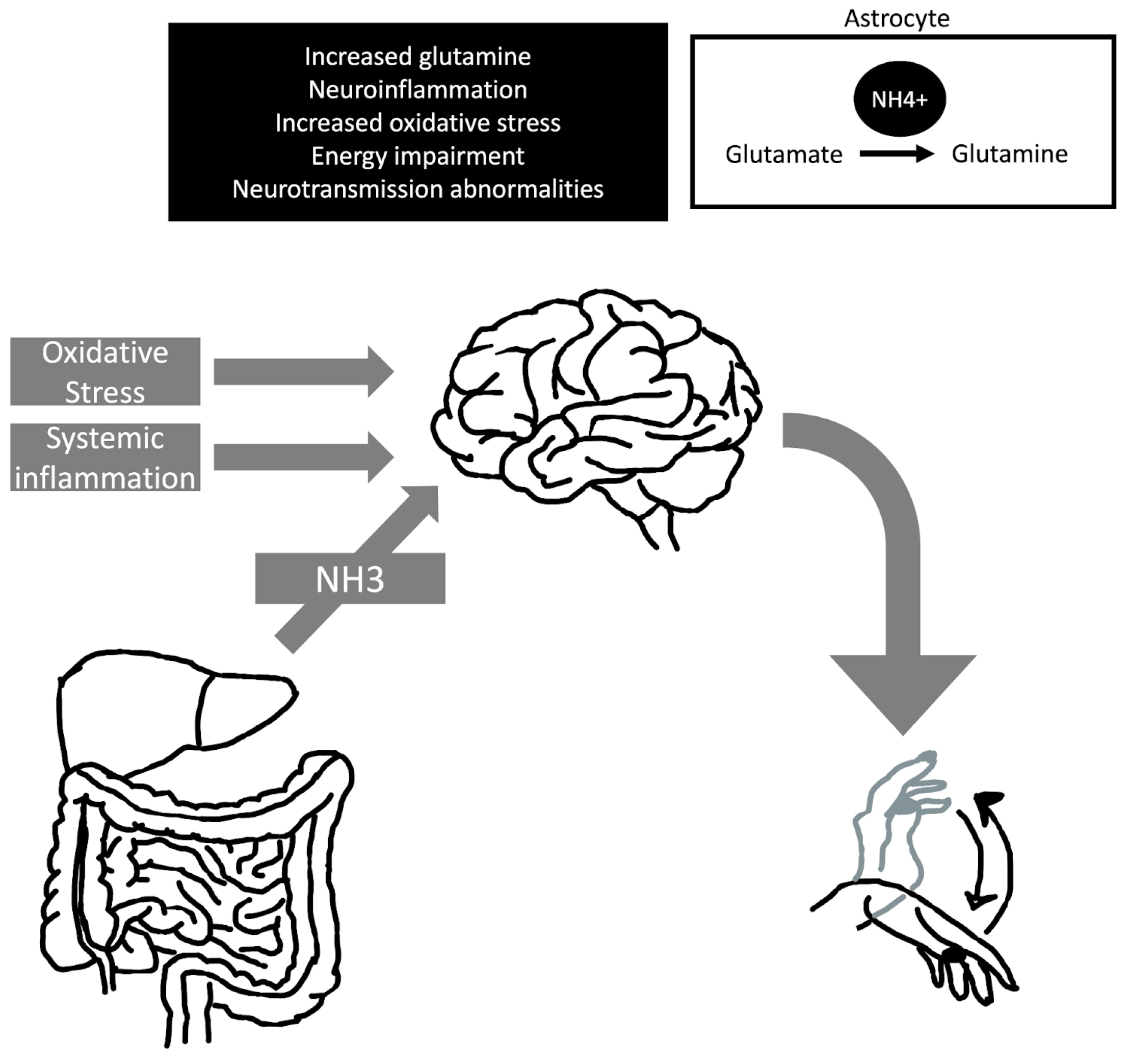 Medicina 60 00362 g004