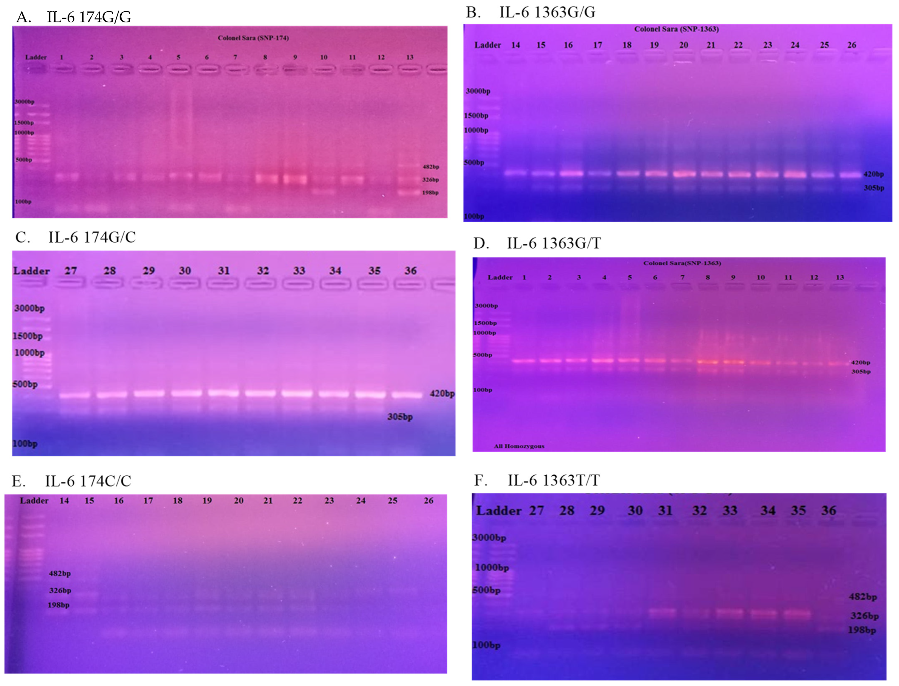 Medicina 60 00368 g001