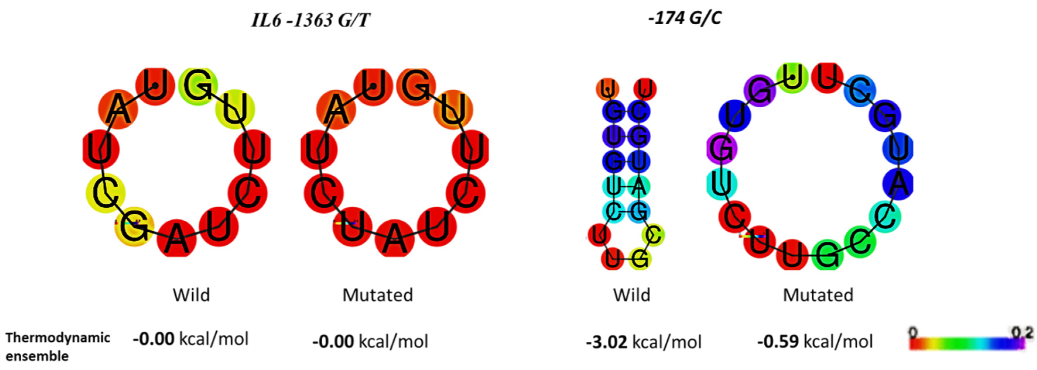 Medicina 60 00368 g003