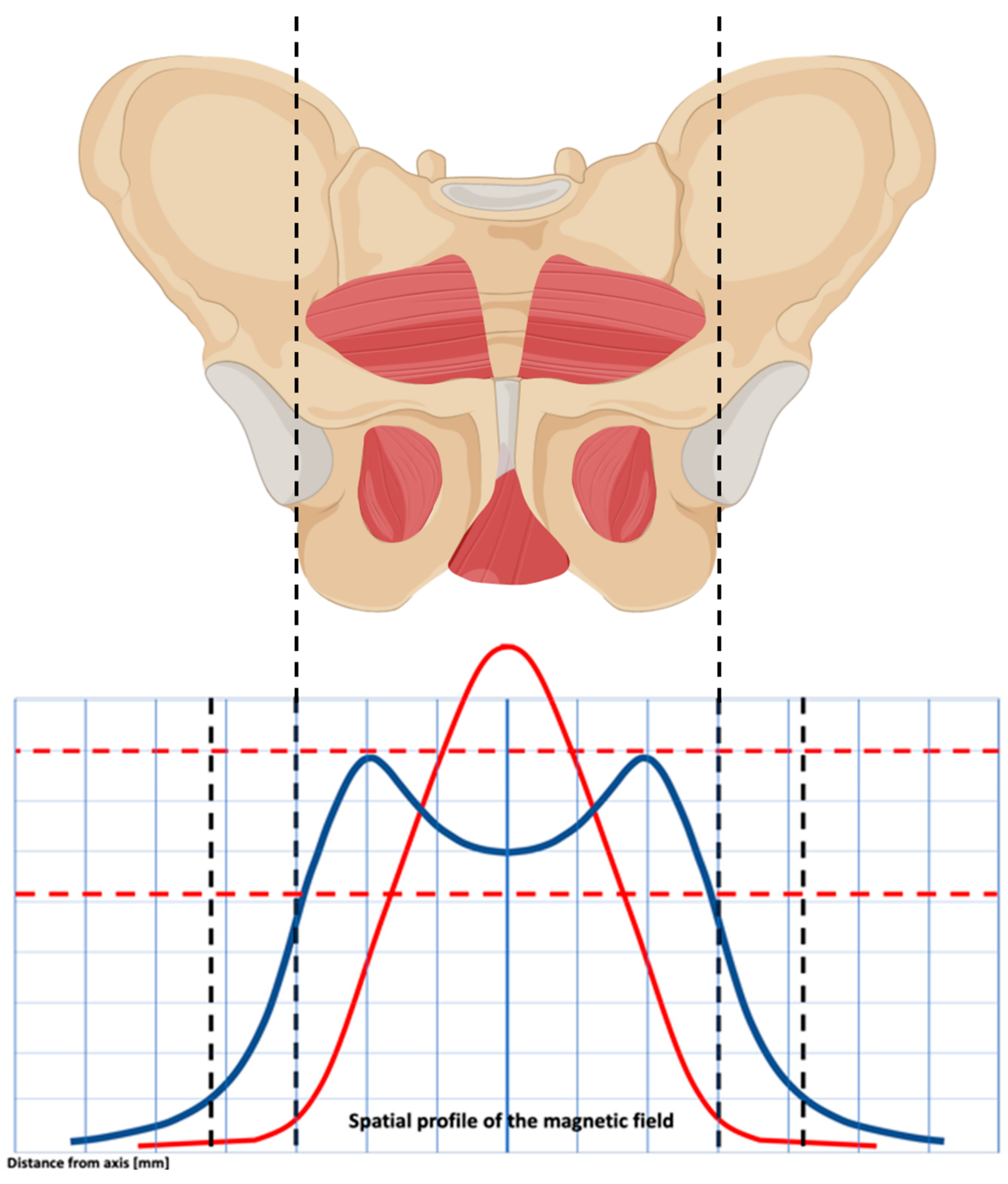 Medicina 60 00374 g002