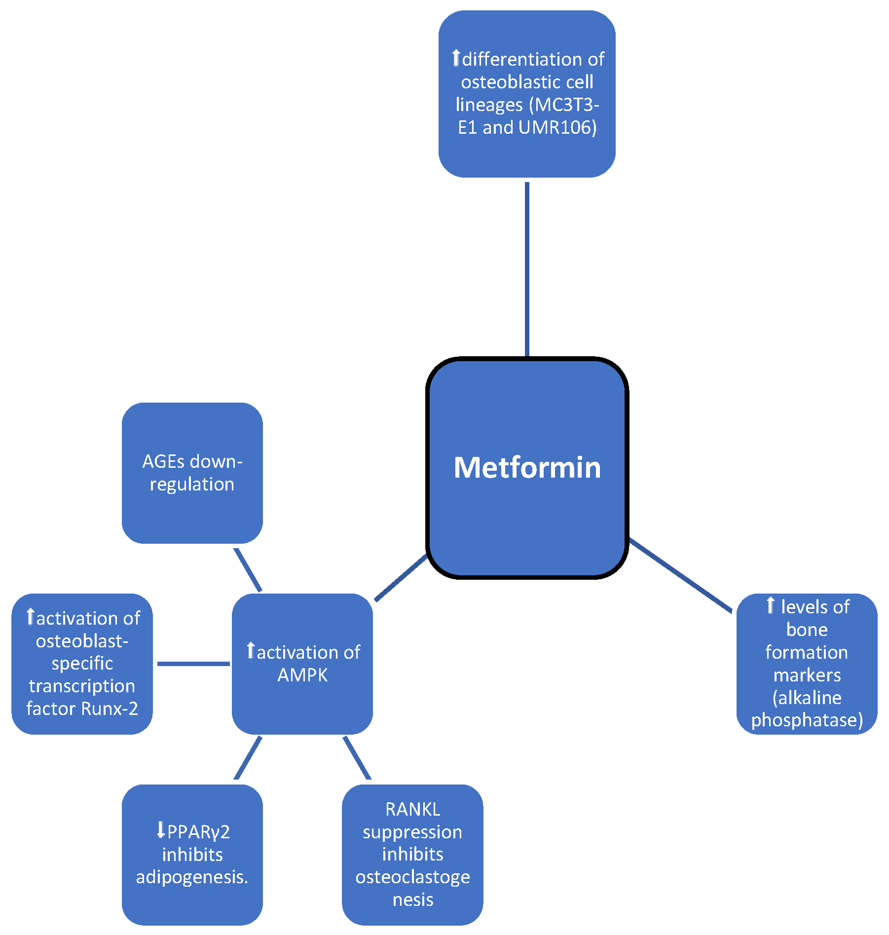 Medicina 60 00393 g002