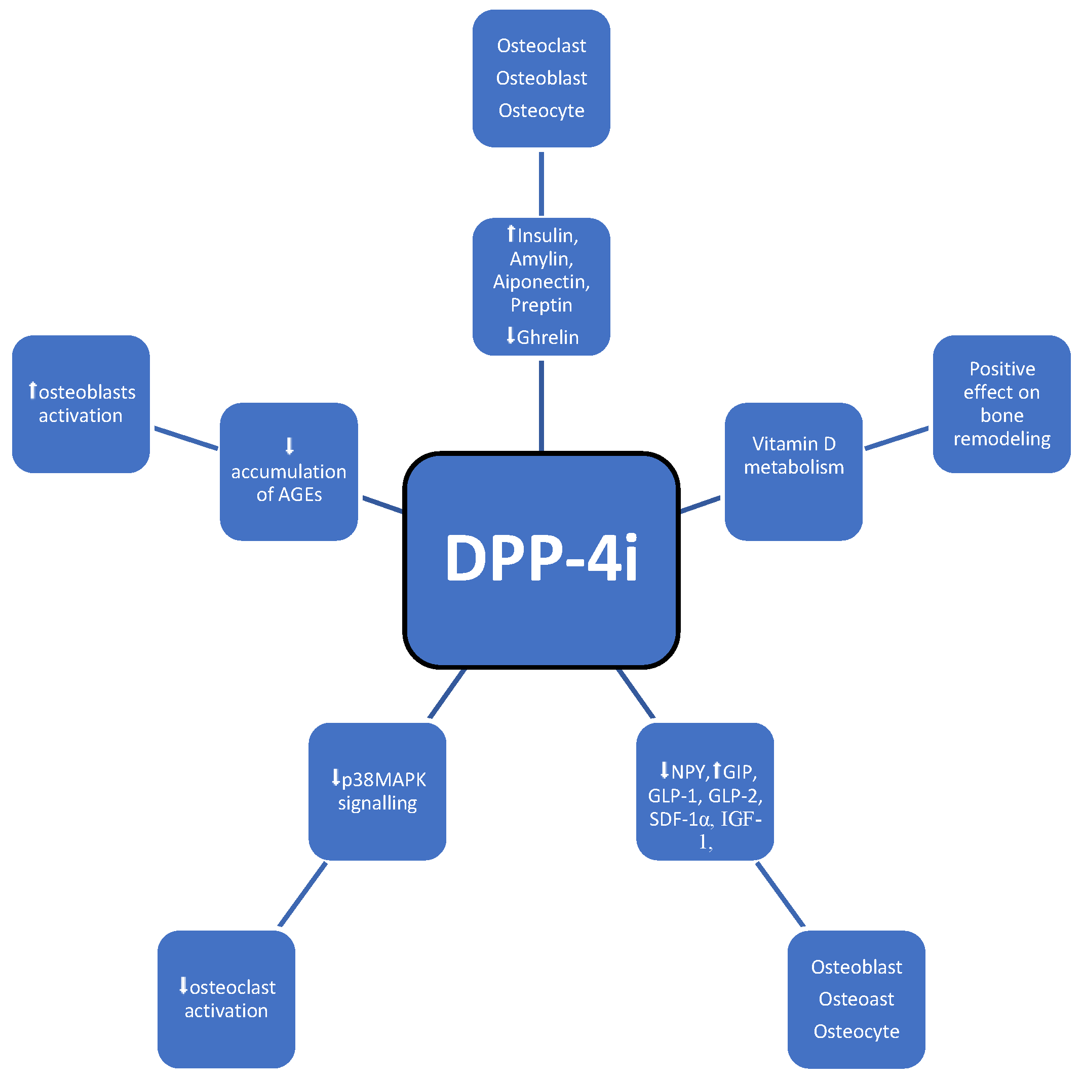 Medicina 60 00393 g005