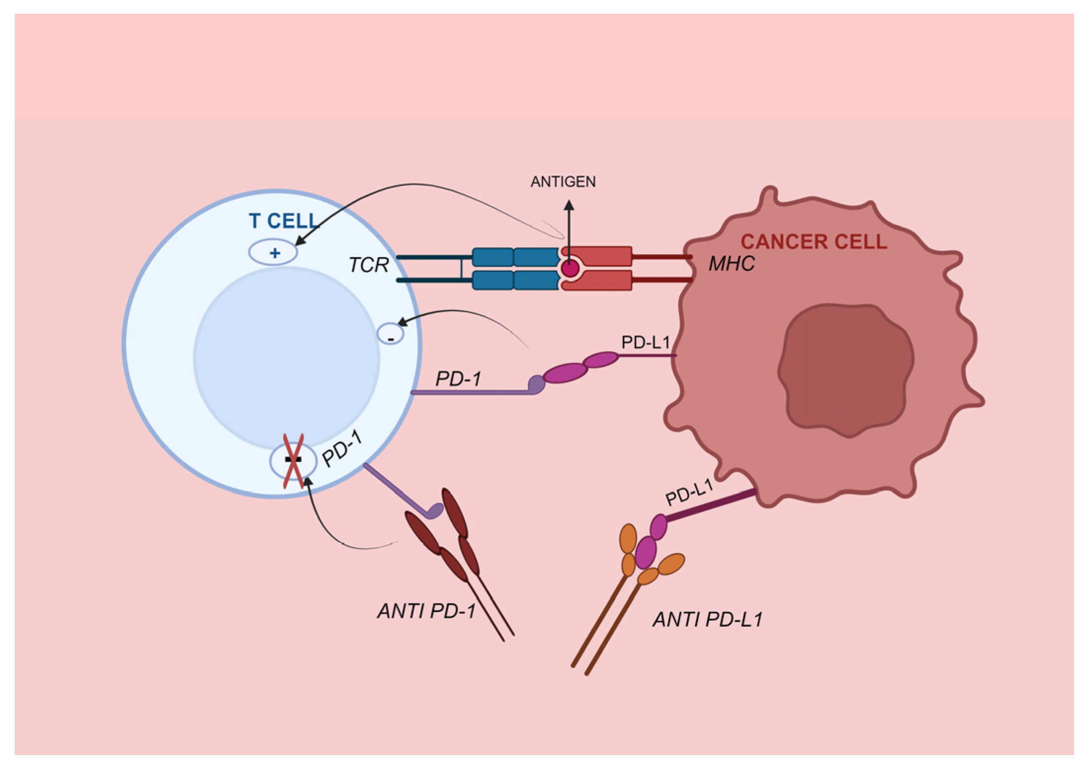 Medicina 60 00397 g004
