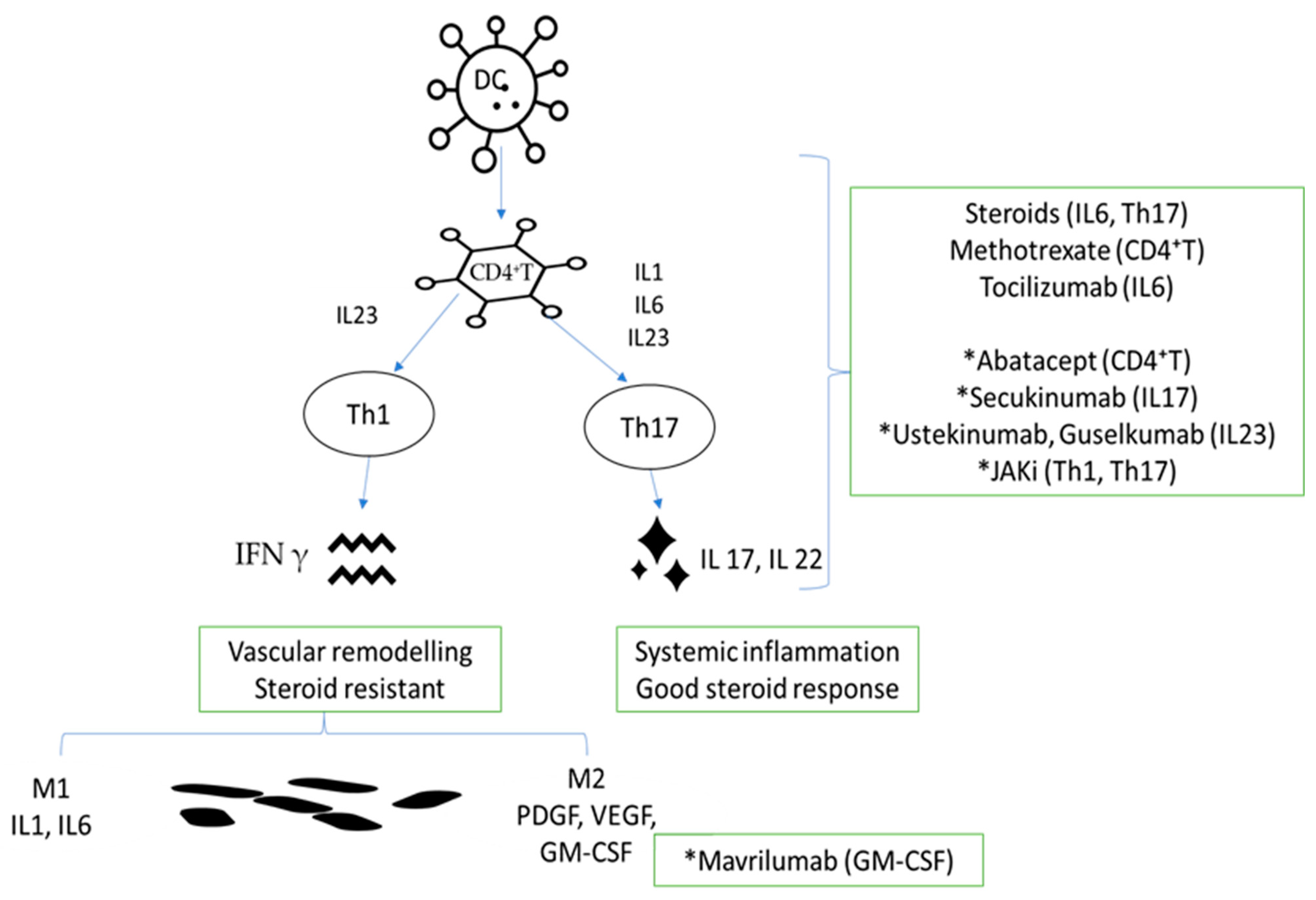 Medicina 60 00400 g001 Medicina 60 00400 g001