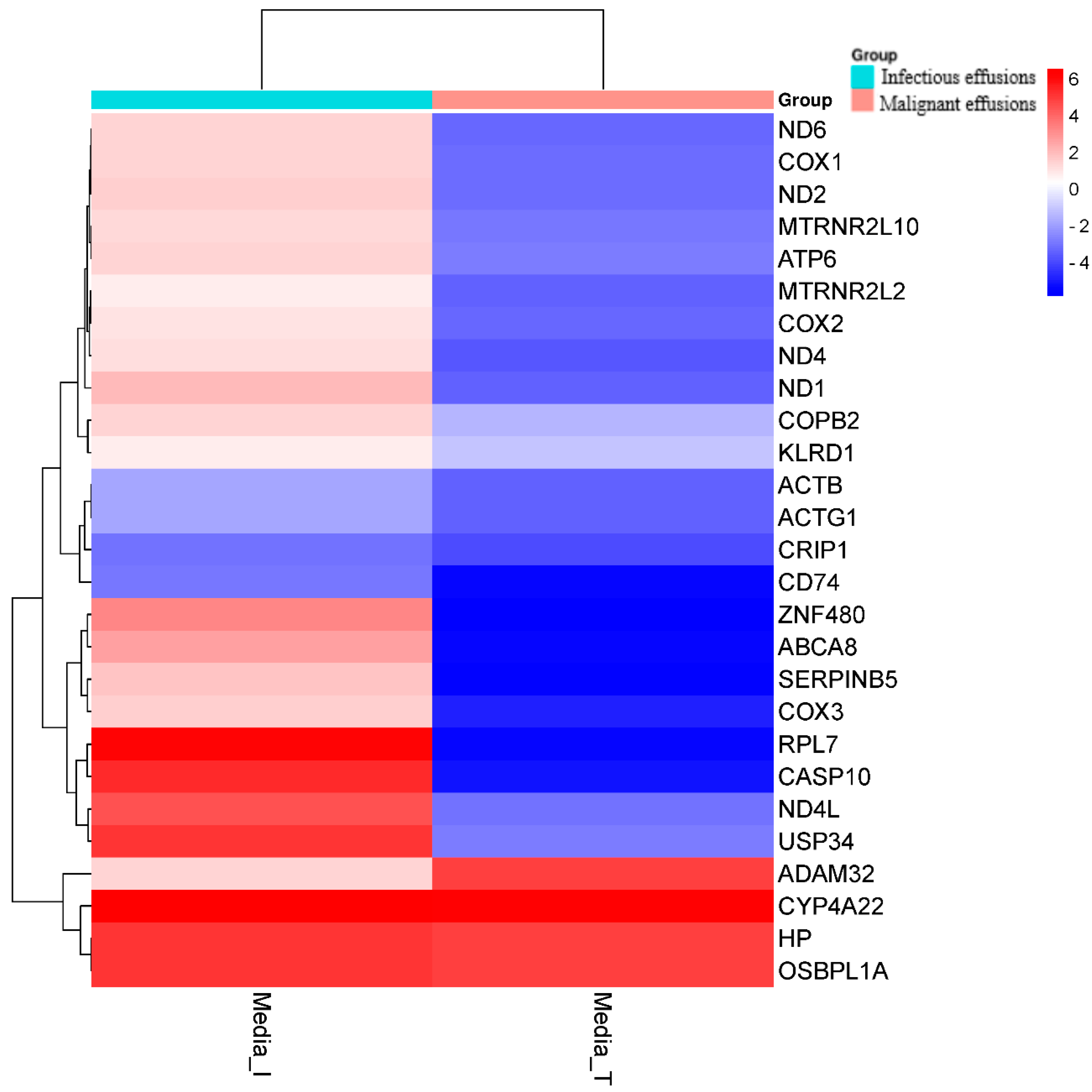 Medicina 60 00424 g003