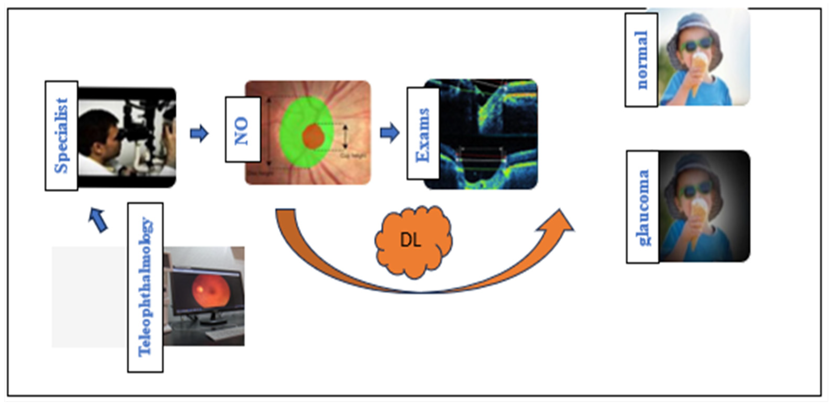 Medicina 60 00428 g001