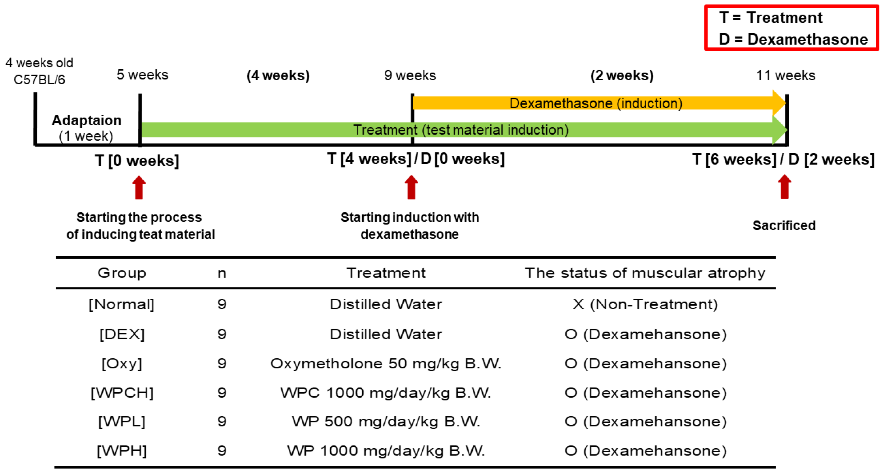 Medicina 60 00433 g001 Medicina 60 00433 g001