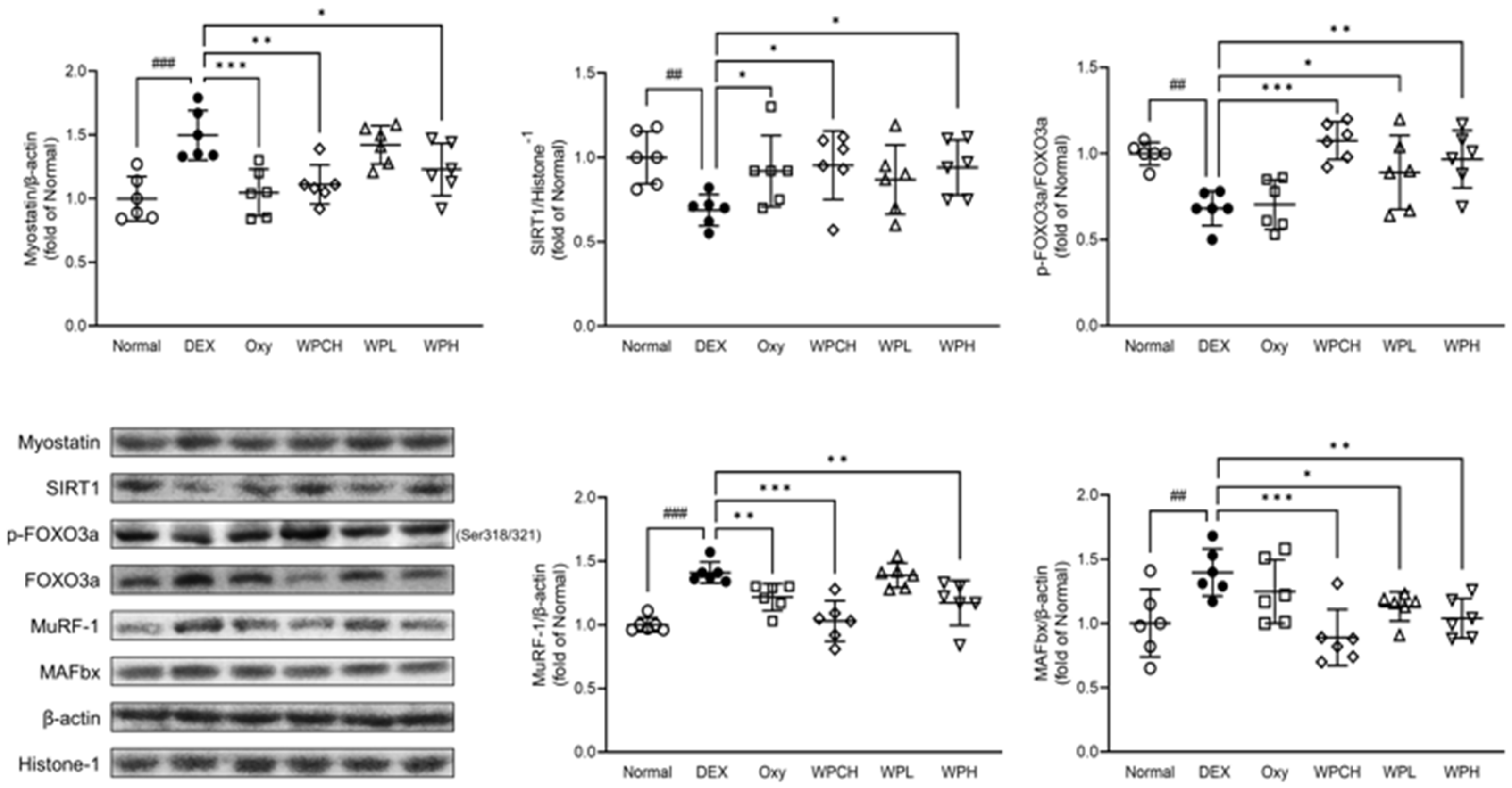 Medicina 60 00433 g006 Medicina 60 00433 g006