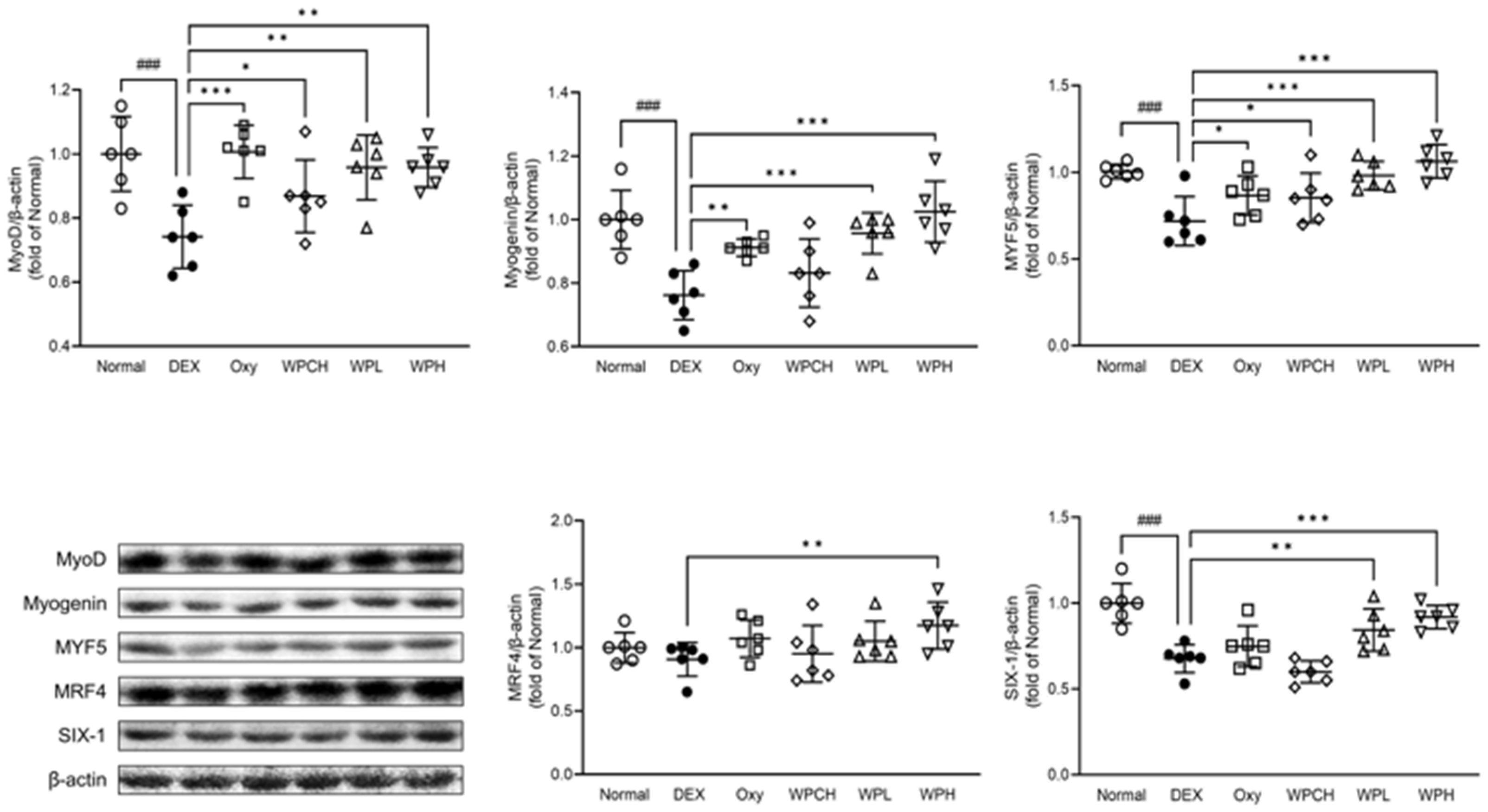 Medicina 60 00433 g007 Medicina 60 00433 g007