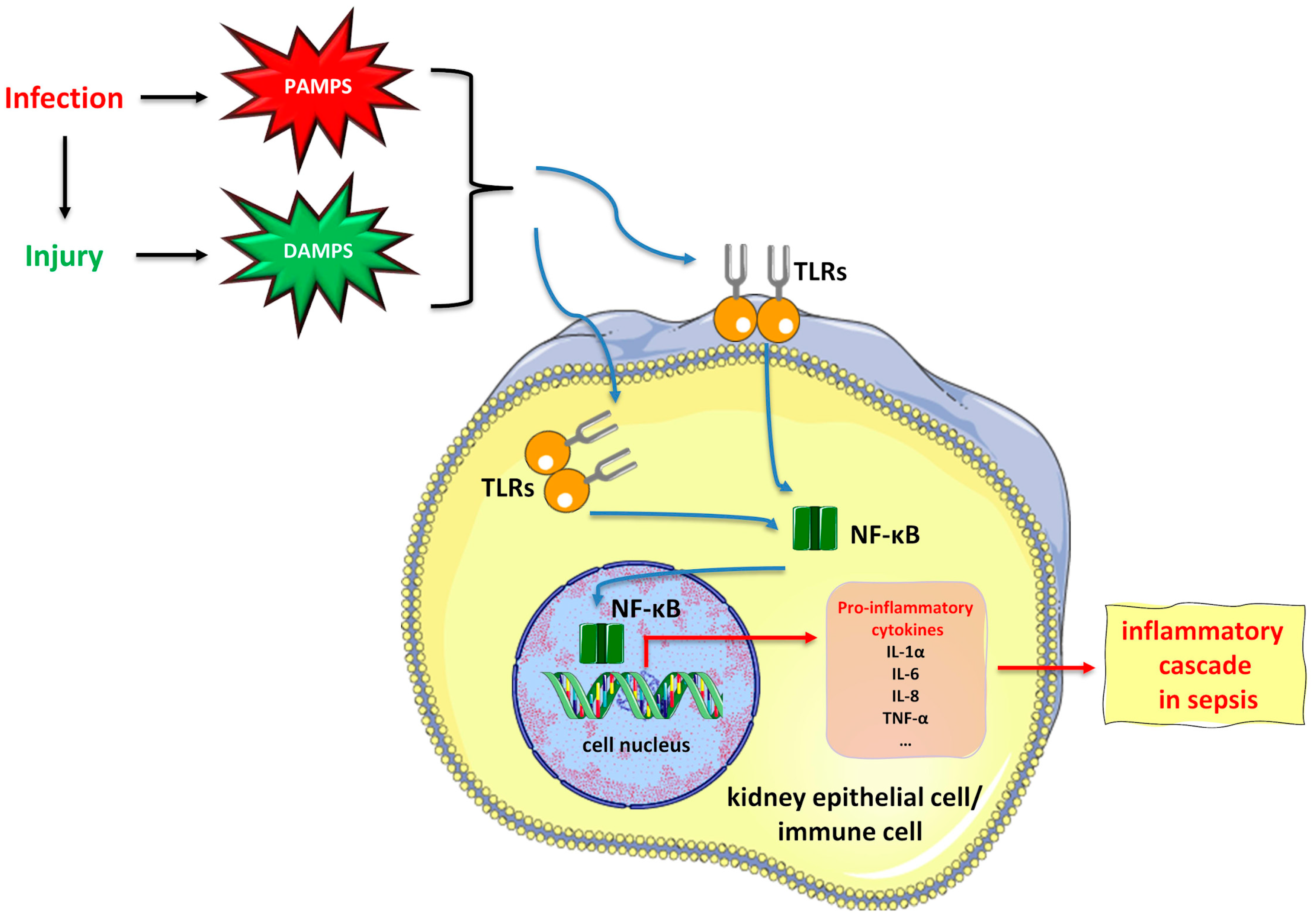 Medicina 60 00434 g002